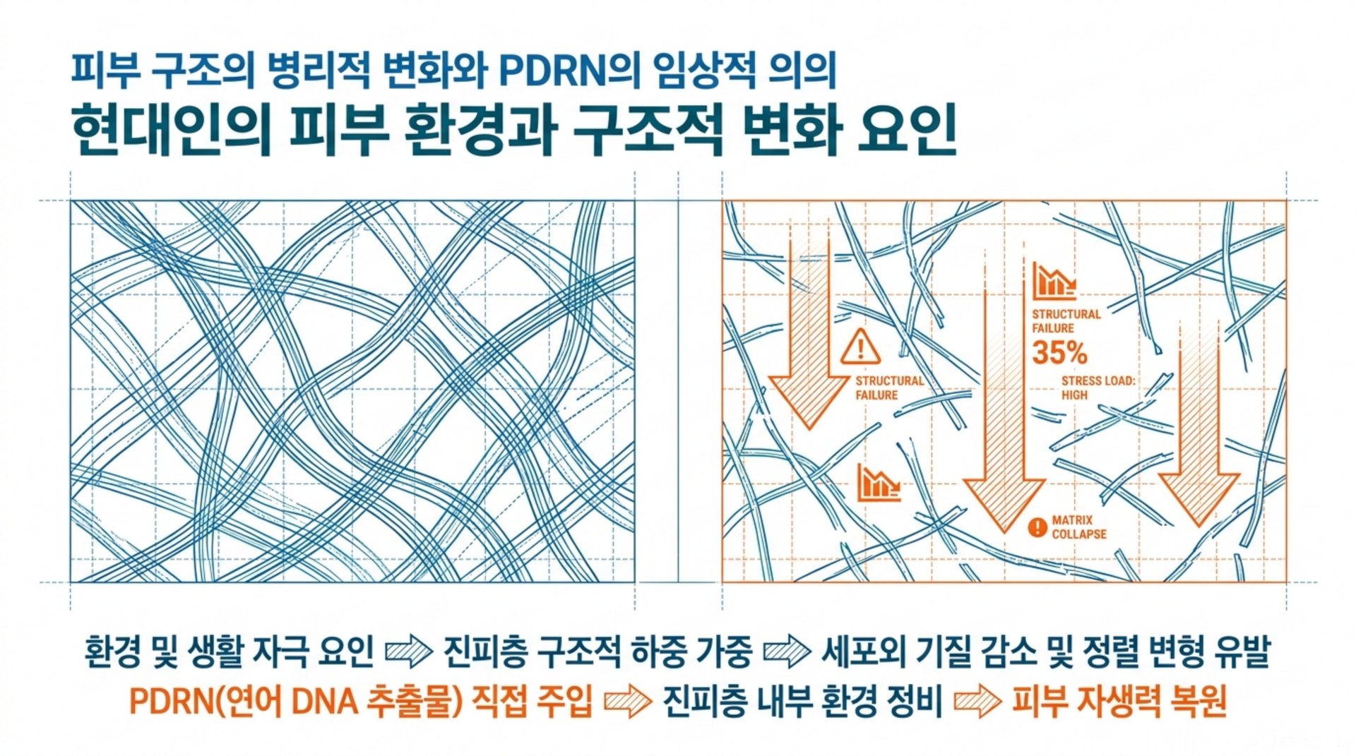 현대인과 해당 부위 건강