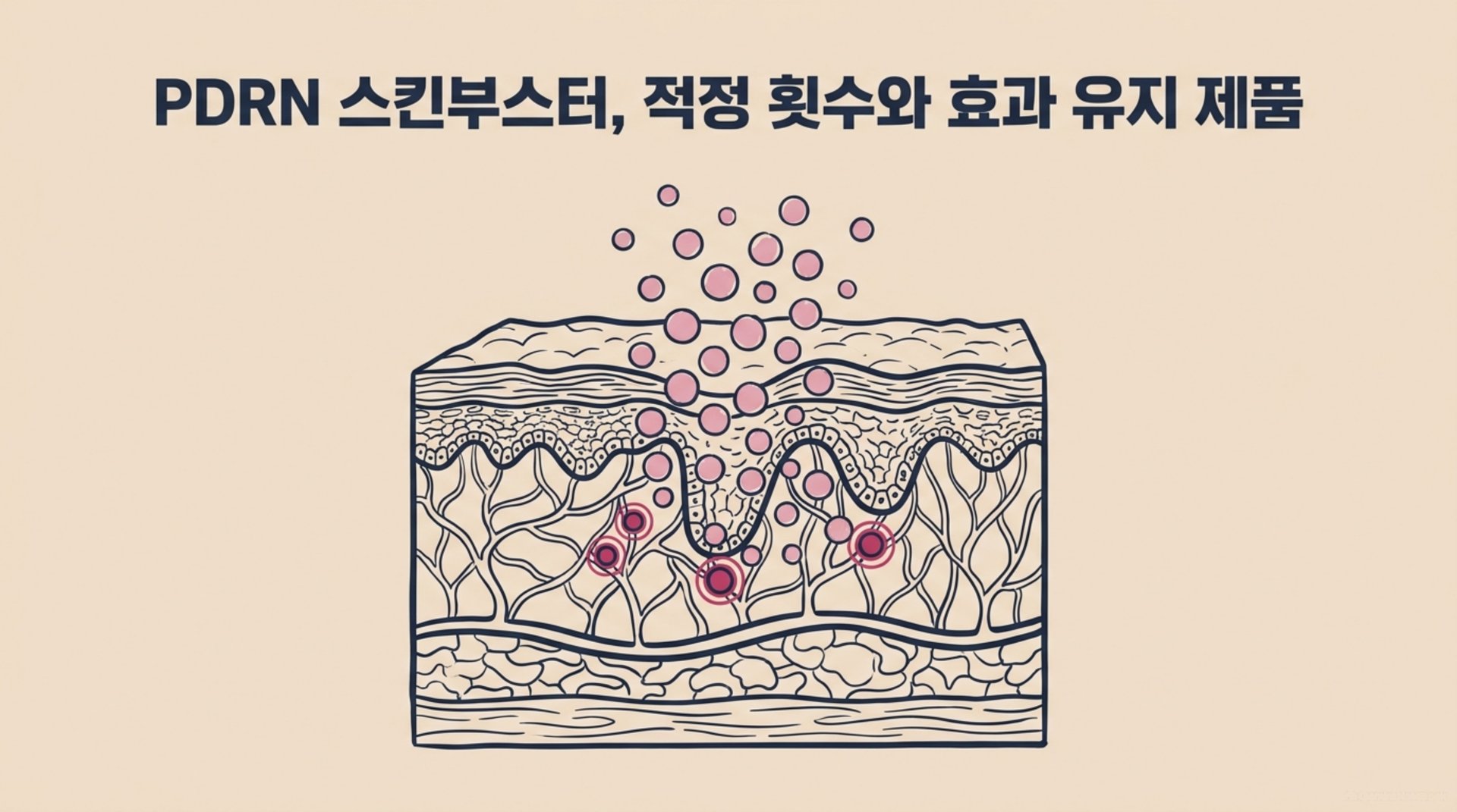 남가좌동 한의원 PDRN 스킨부스터, 적정 횟수와 효과 유지 제품 안내 이미지