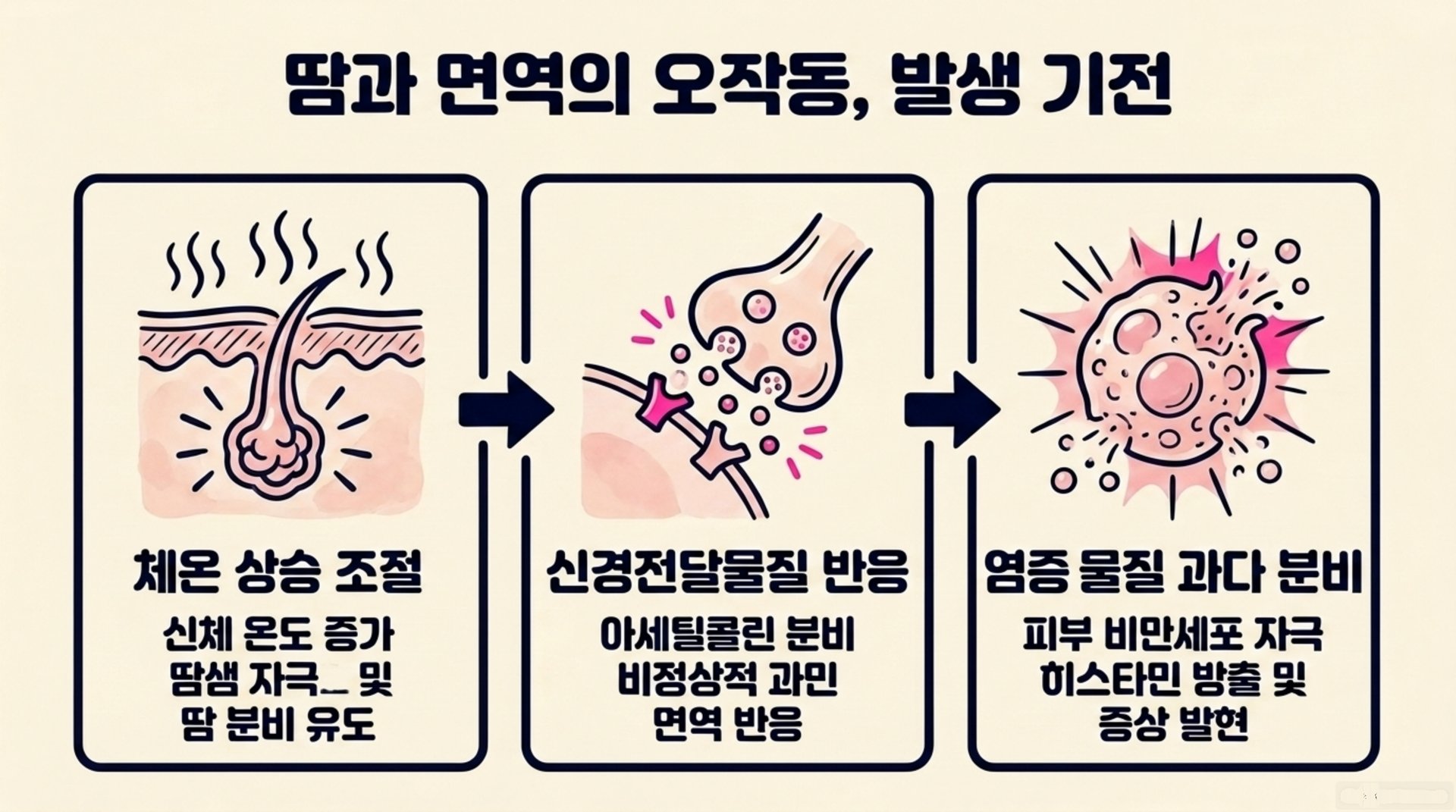 서대문구 한의원 땀과 면역의 오작동, 발생 기전 안내 이미지