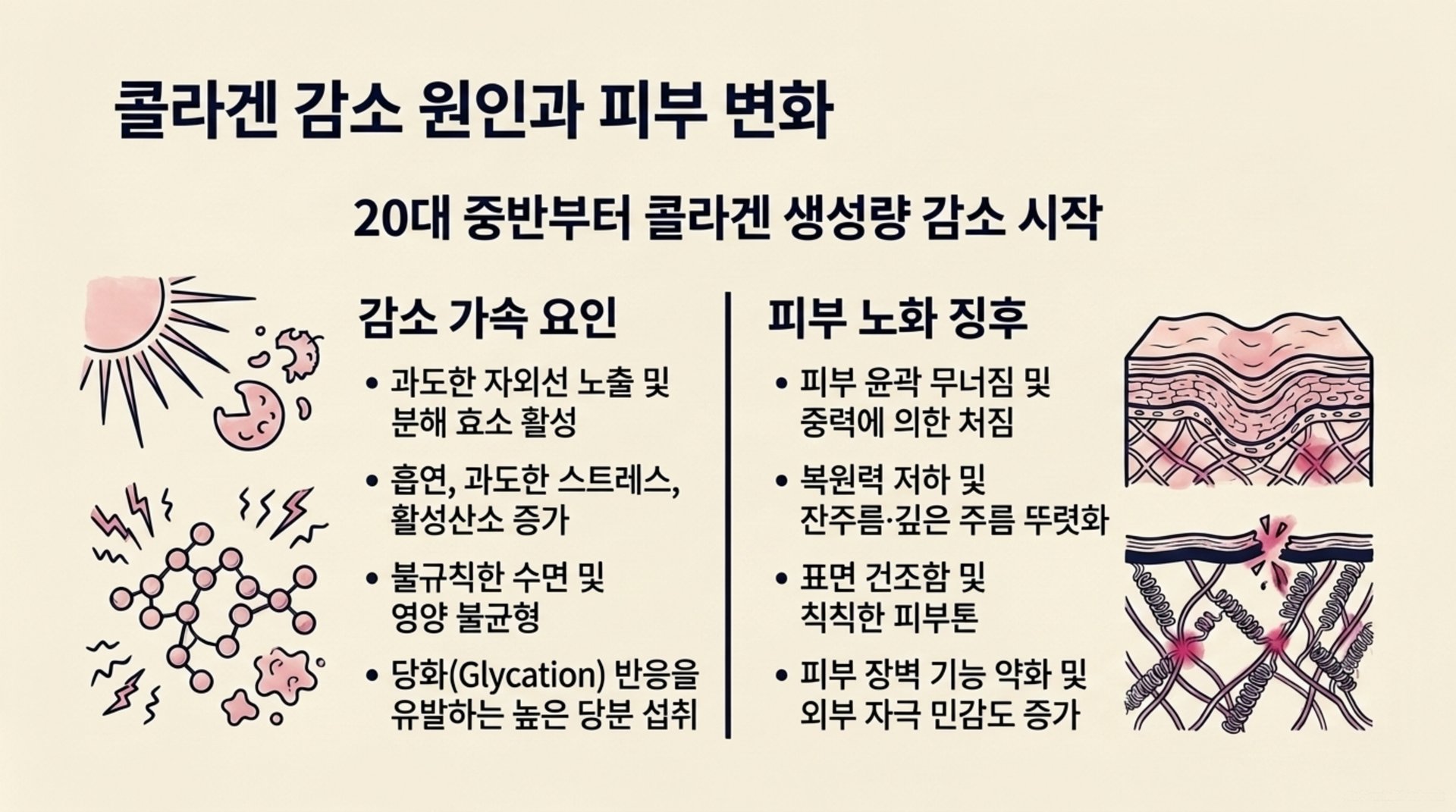 서대문구 한의원 콜라겐 감소 원인과 피부 변화 안내 이미지