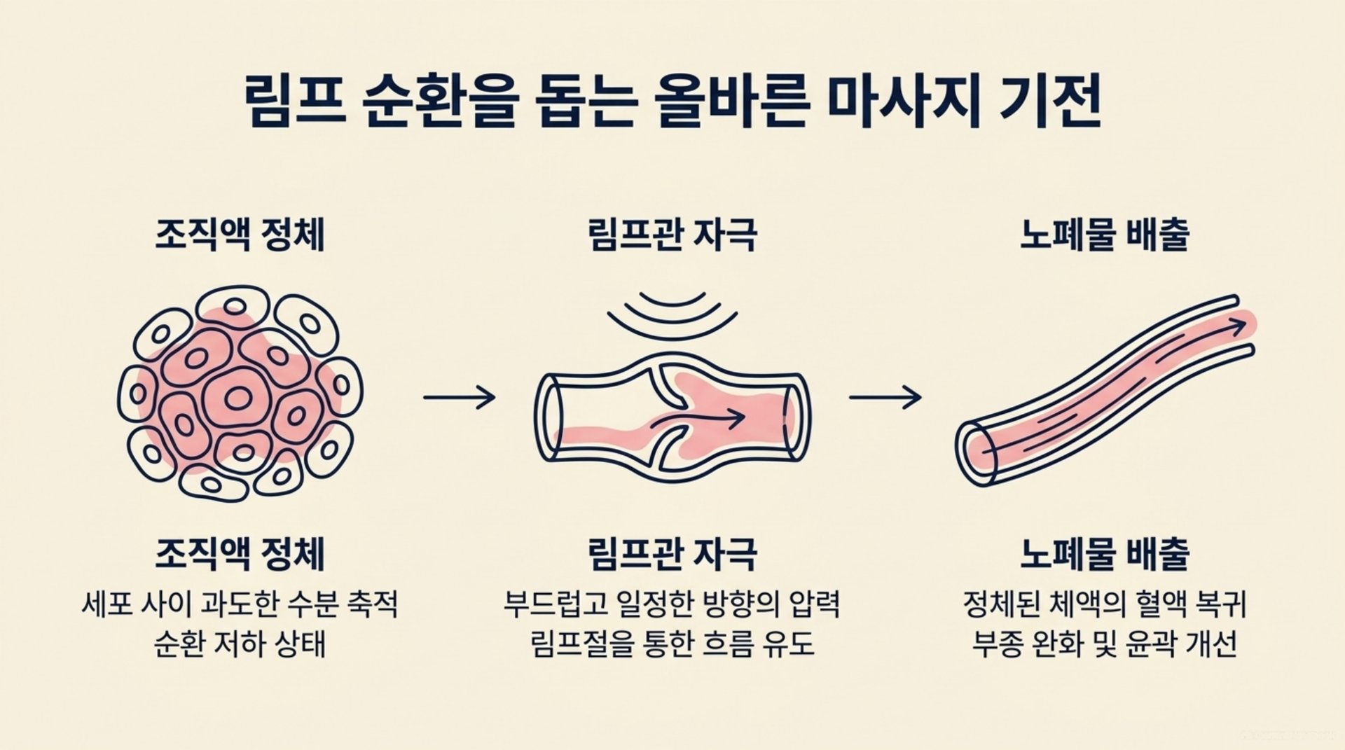 남가좌동 한의원 림프 순환을 돕는 올바른 마사지 기전 안내 이미지