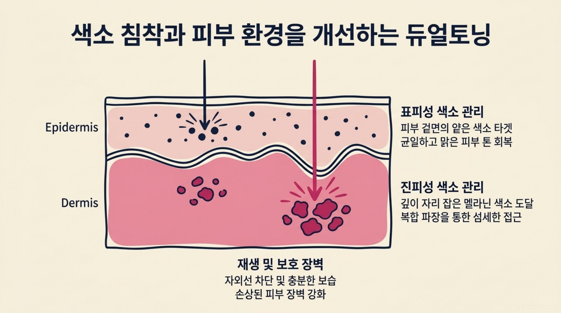 서대문구 한의원 색소 침착과 피부 환경을 개선하는 듀얼토닝 안내 이미지