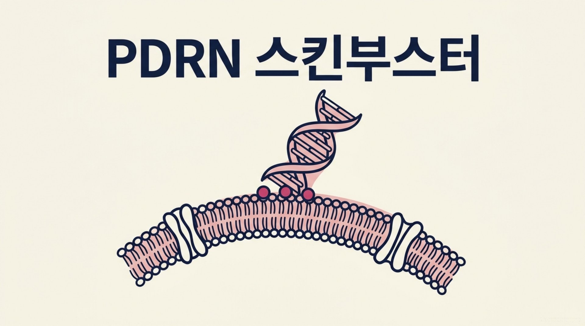 남가좌동 한의원 PDRN 스킨부스터 안내 이미지