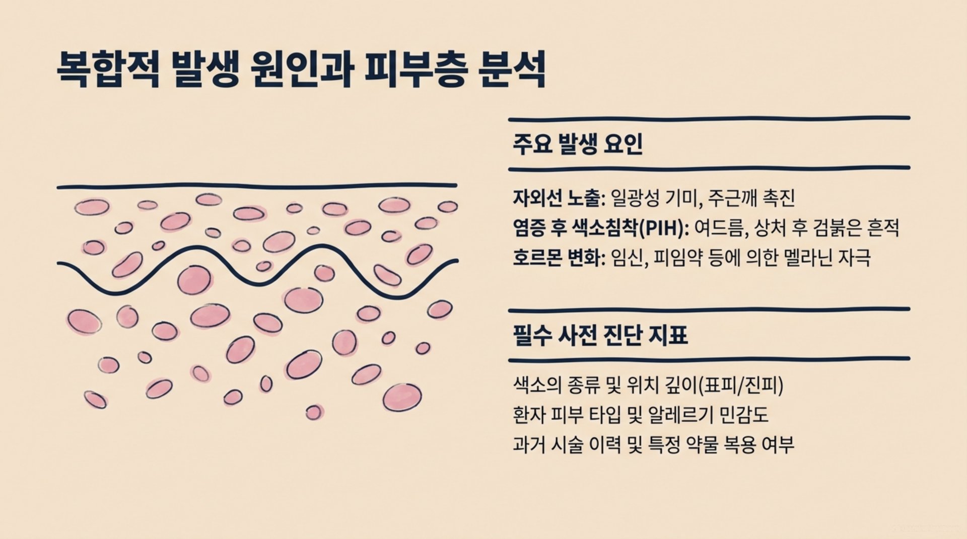 북가좌동 한의원 복합적 발생 원인과 피부층 분석 안내 이미지