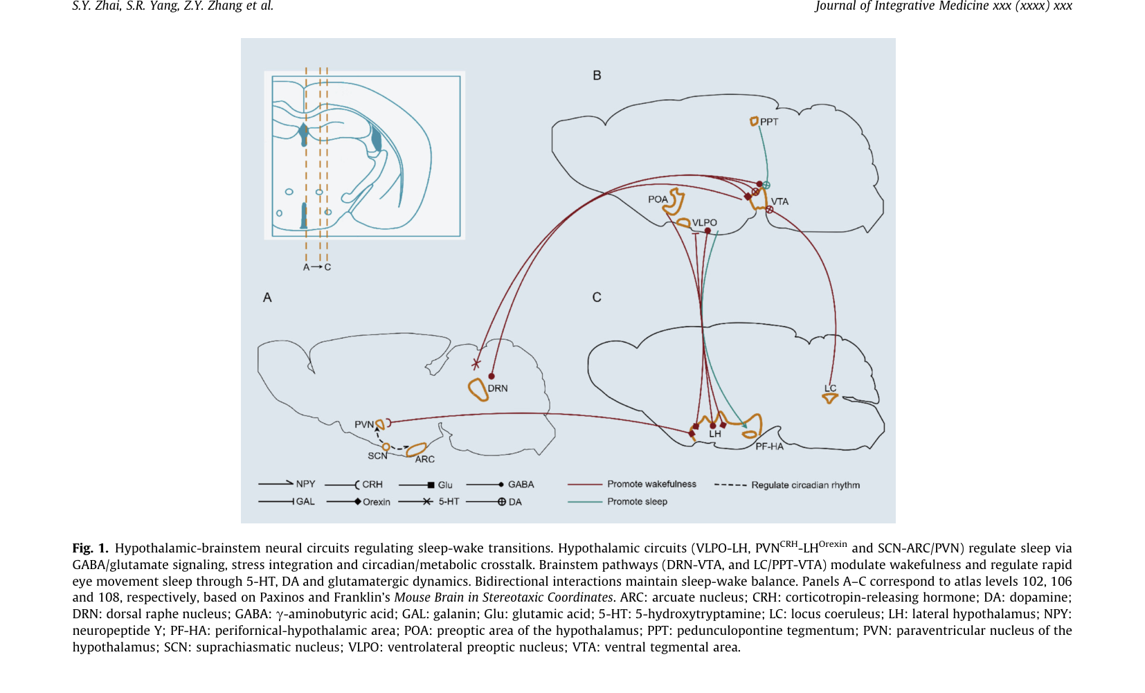 Figure 1: 시상하부-뇌간 신경 회로를 보여주는 다이어그램으로, 수면-각성 전환을 조절하는 주요 뇌 영역과 신경전달물질의 상호작용을 시각화합니다.