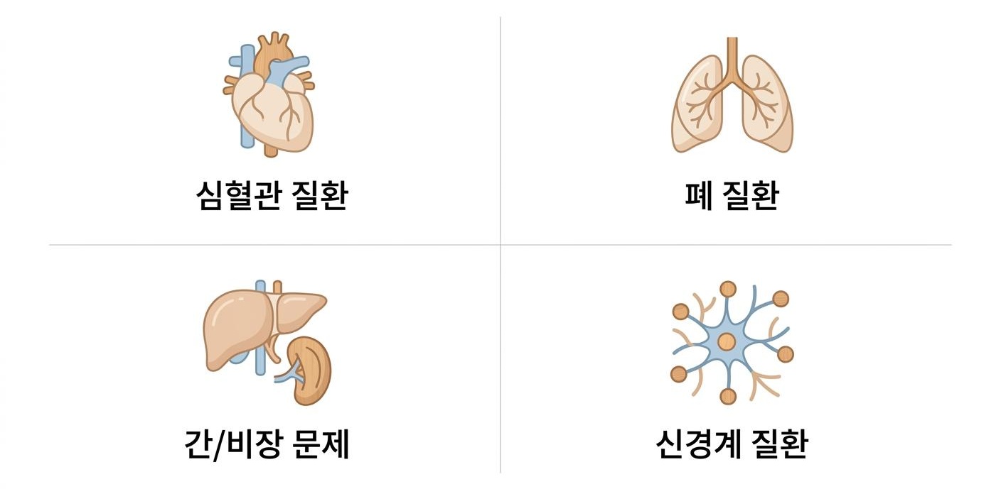 명치 답답함의 심혈관계 및 비소화기계 원인, 남가좌동명치답답치료한의원 심혈관 질환 · 폐 질환 · 간/비장 문제 · 신경계 질환