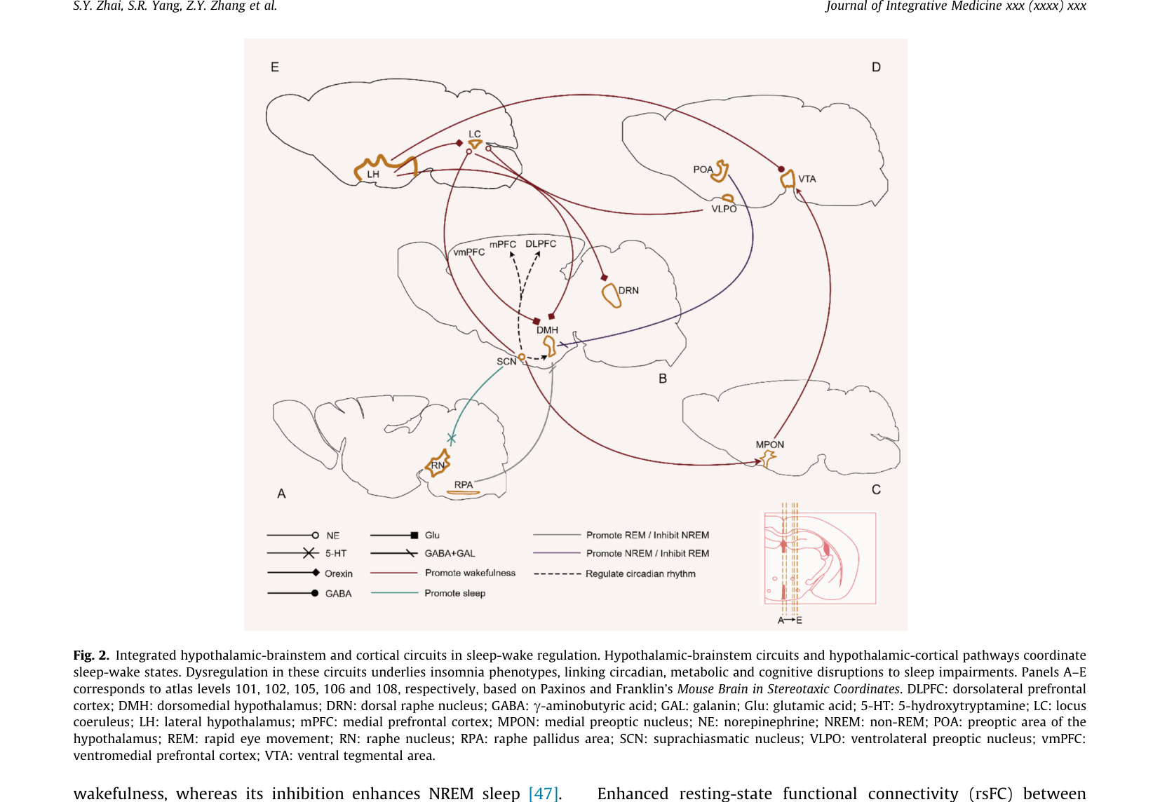 Figure 2: 수면-각성 조절에 관여하는 시상하부-뇌간 및 피질 통합 회로를 보여주는 다이어그램입니다.