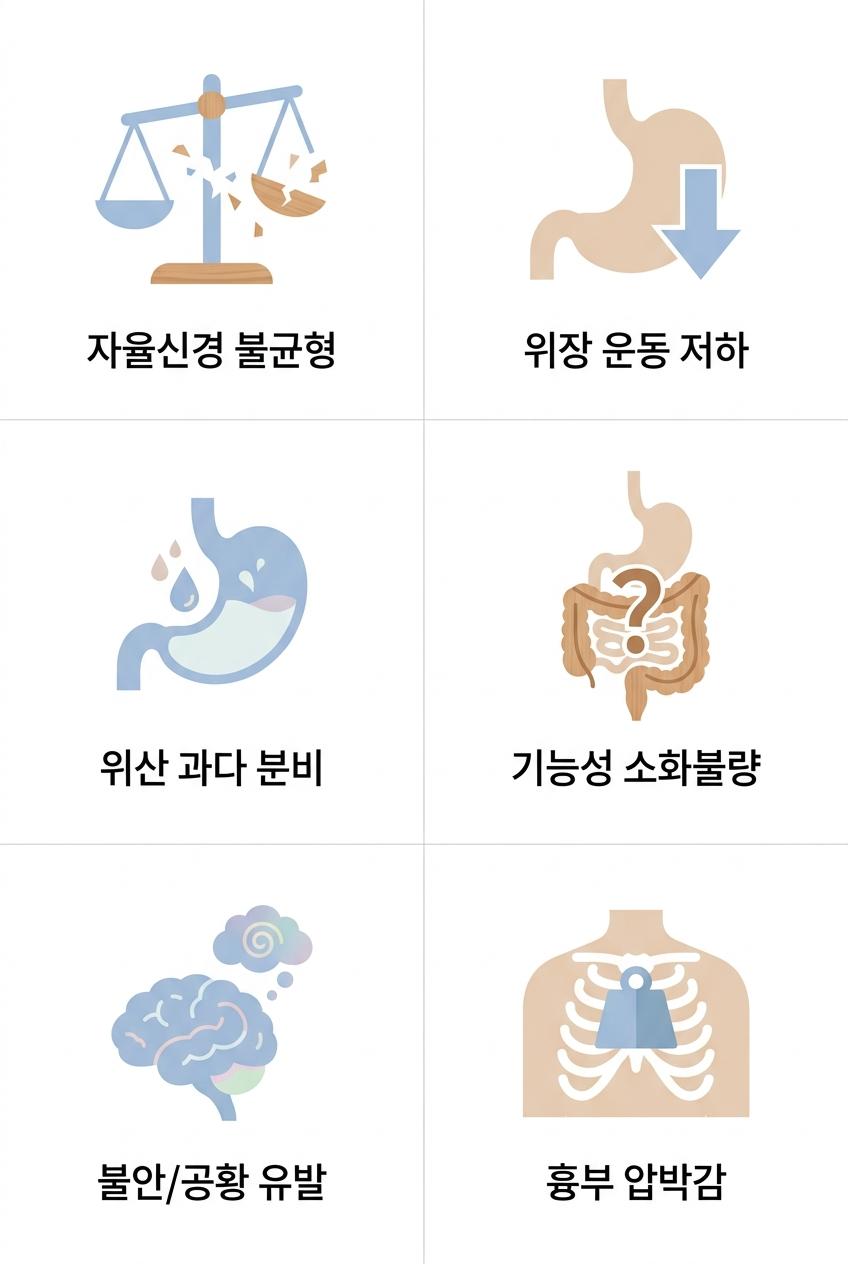 만성 스트레스가 명치 답답함에 미치는 영향, 서대문구명치답답치료한의원 자율신경 불균형 · 위장 운동 저하 · 위산 과다 분비 · 기능성 소화불량 · 불안/공황 유발 · 흉부 압박감