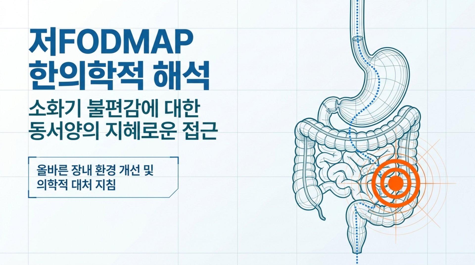 남가좌동 한의원 저FODMAP 한의학적 해석 안내 이미지