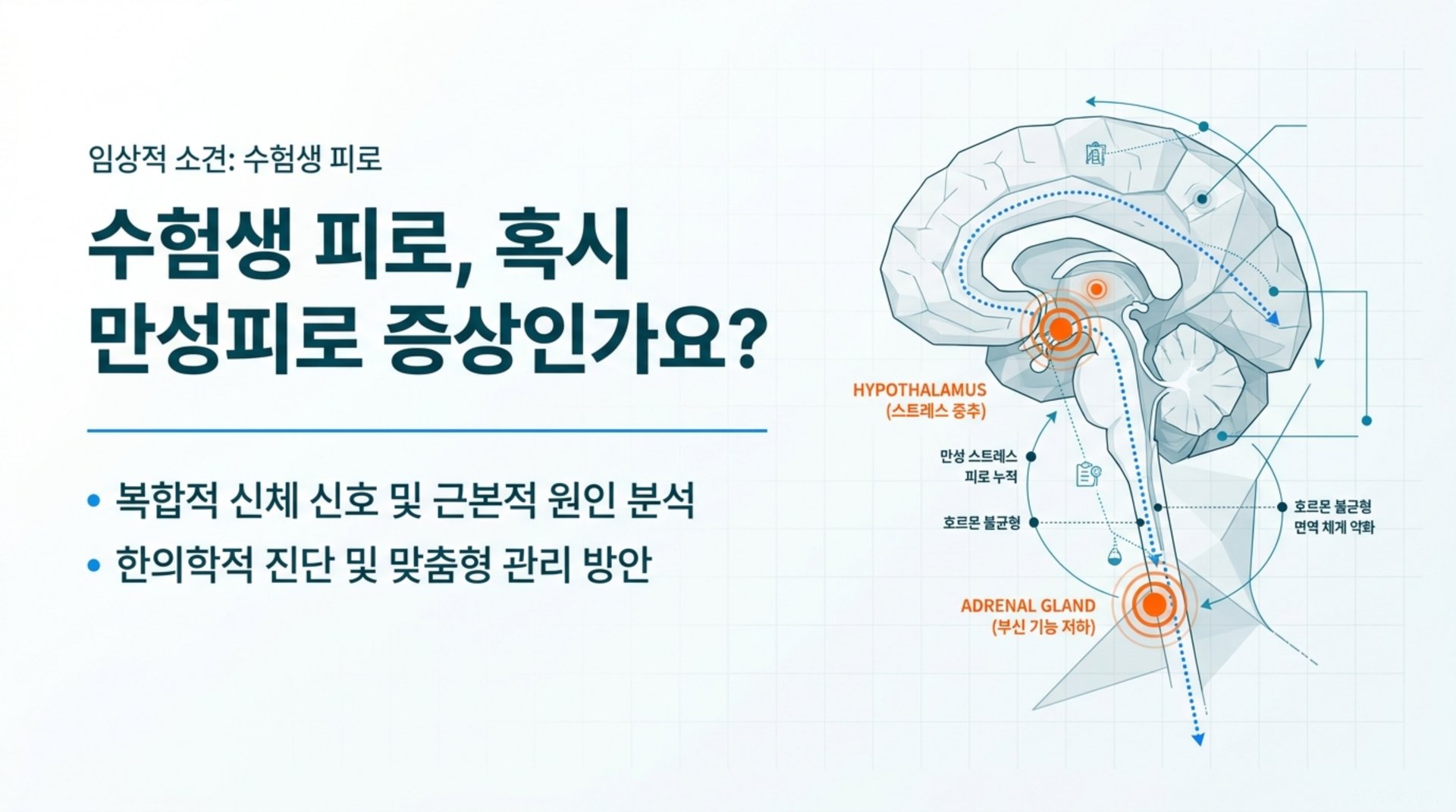 남가좌동 한의원 수험생 피로, 혹시 만성피로 증상인가요? 안내 이미지