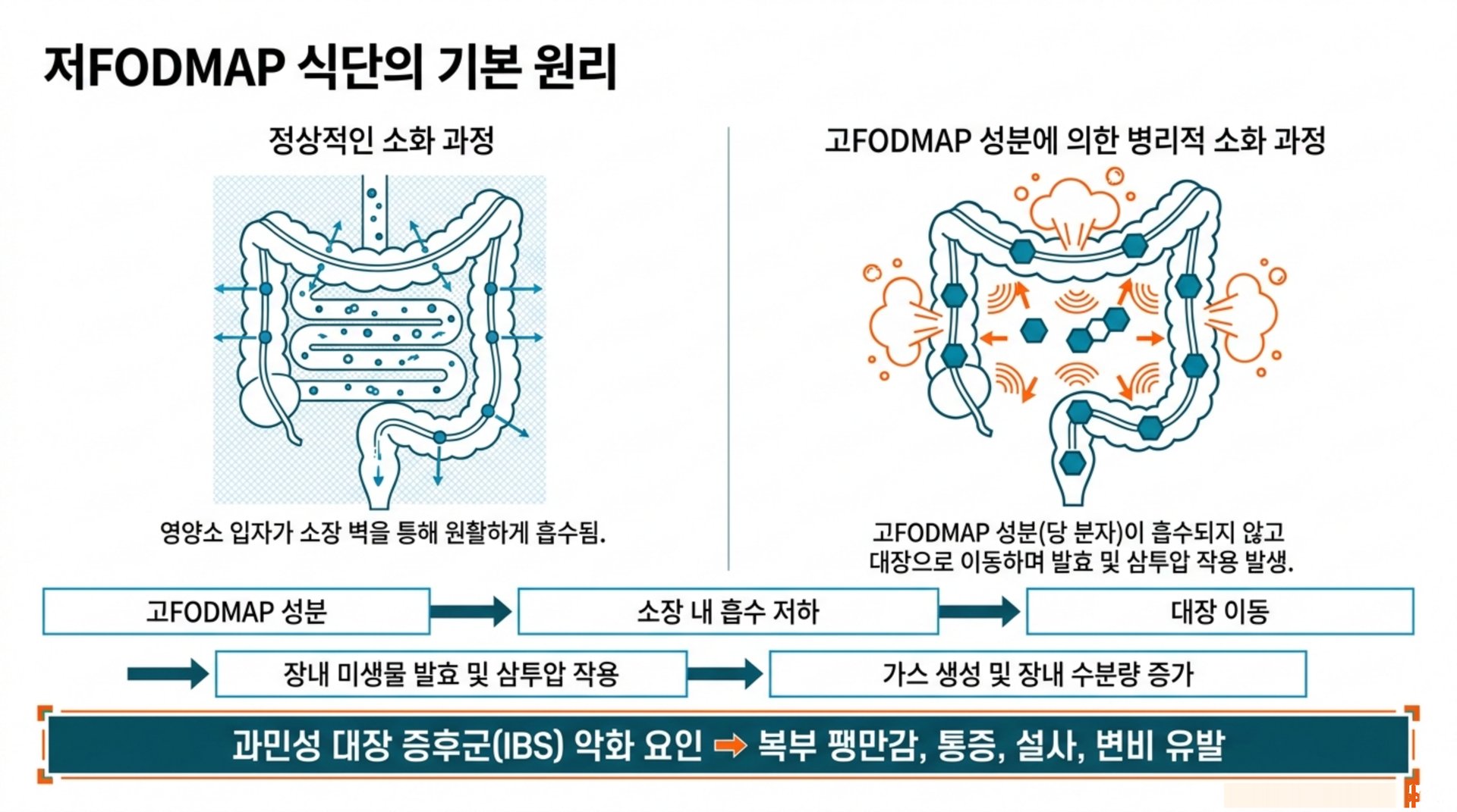 북가좌동 한의원 저FODMAP 식단의 기본 원리 안내 이미지