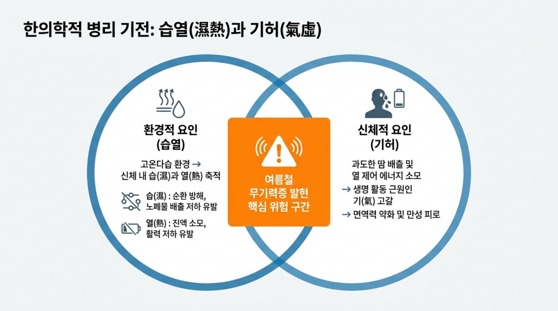 여름철 기력저하, 무더위 속 무거운 몸과 마음의 원인과 현명한 관리법