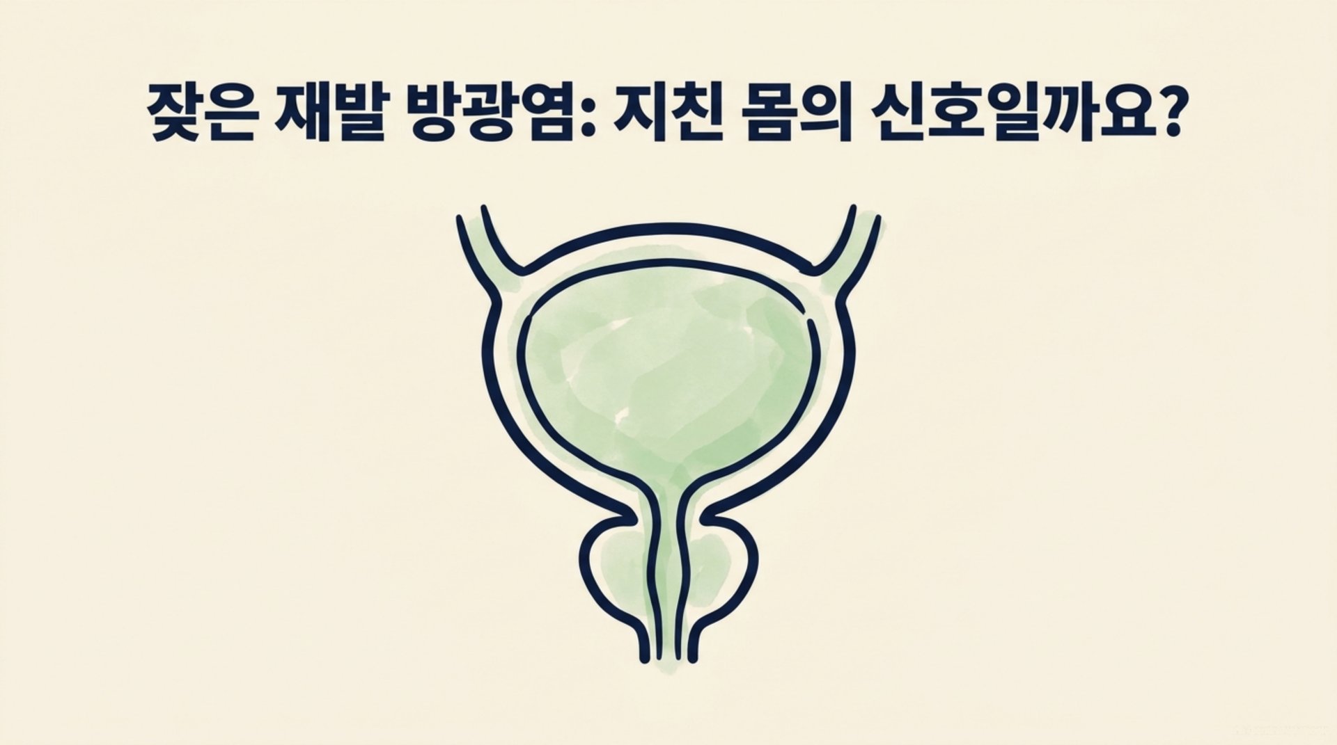 남가좌동 한의원 잦은 재발 방광염: 지친 몸의 신호일까요? 안내 이미지