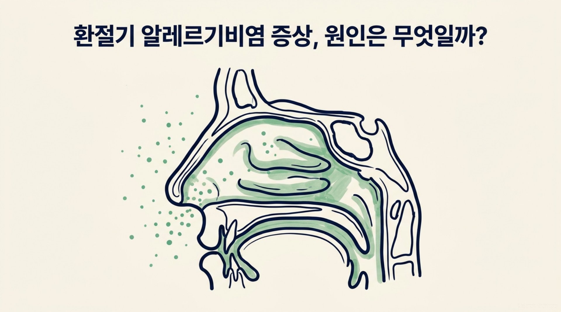남가좌동 한의원 환절기 알레르기비염 증상, 원인은 무엇일까? 안내 이미지