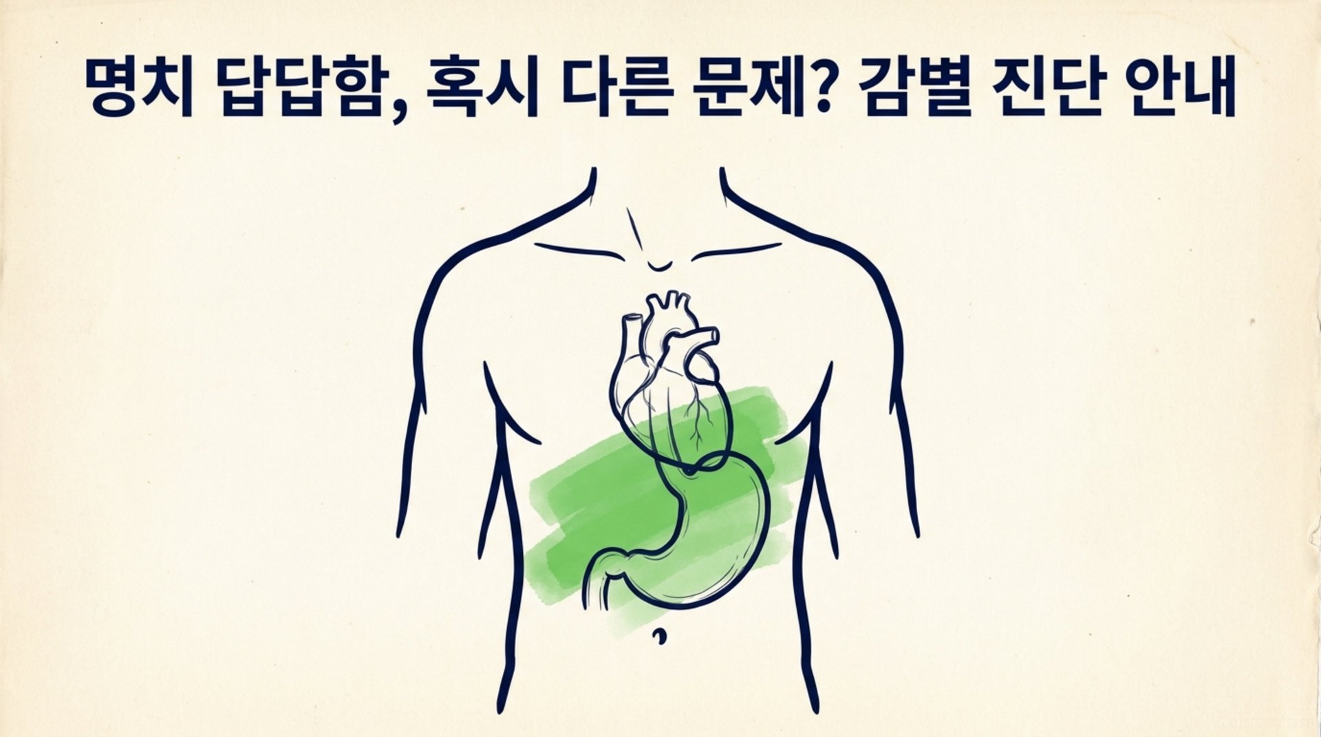 남가좌동 한의원 명치 답답함, 혹시 다른 문제? 감별 진단 안내 안내 이미지