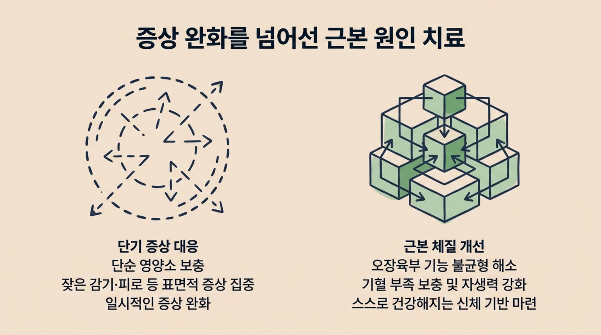 북가좌동 한의원 증상 완화를 넘어선 근본 원인 치료 안내 이미지