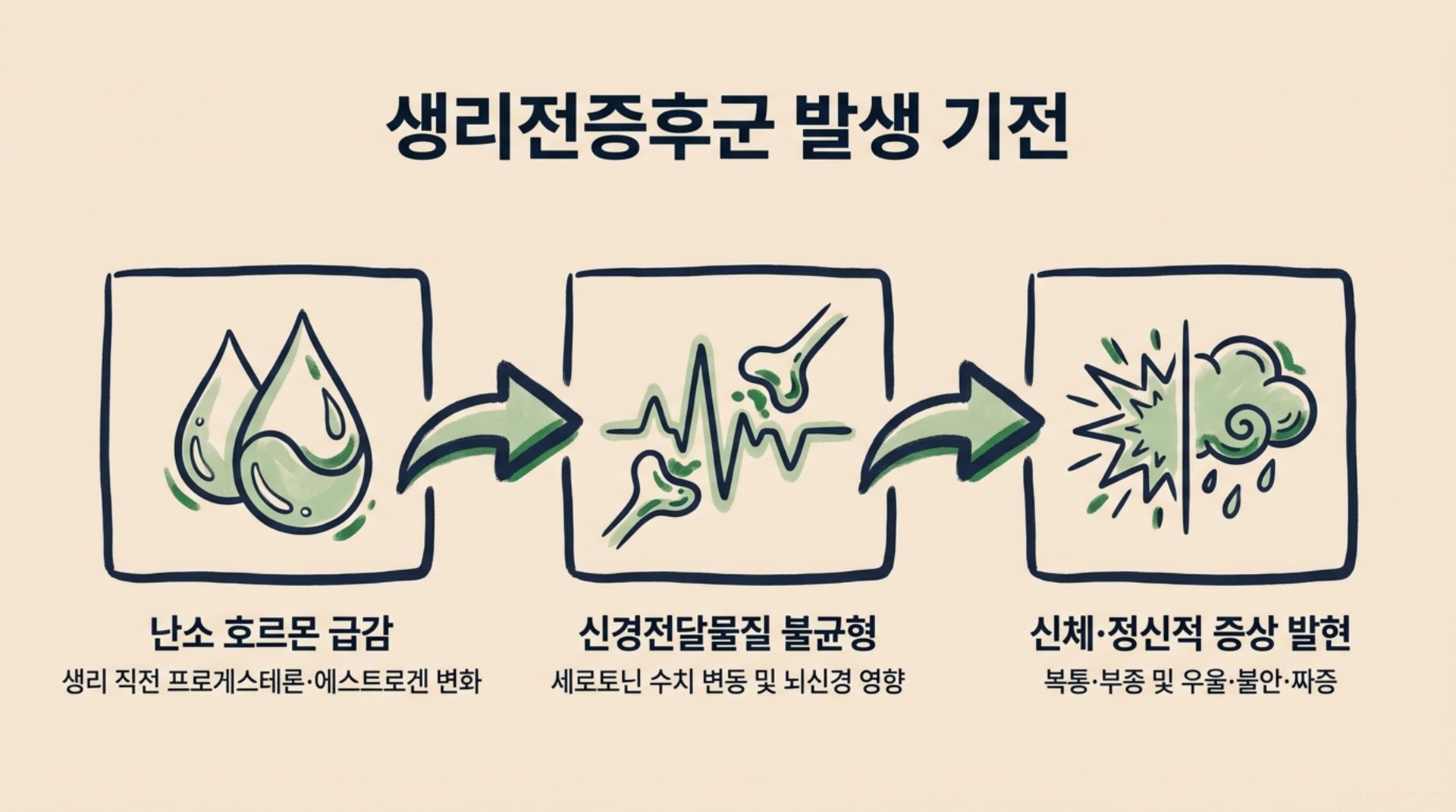 북가좌동 한의원 생리전증후군 발생 기전 안내 이미지