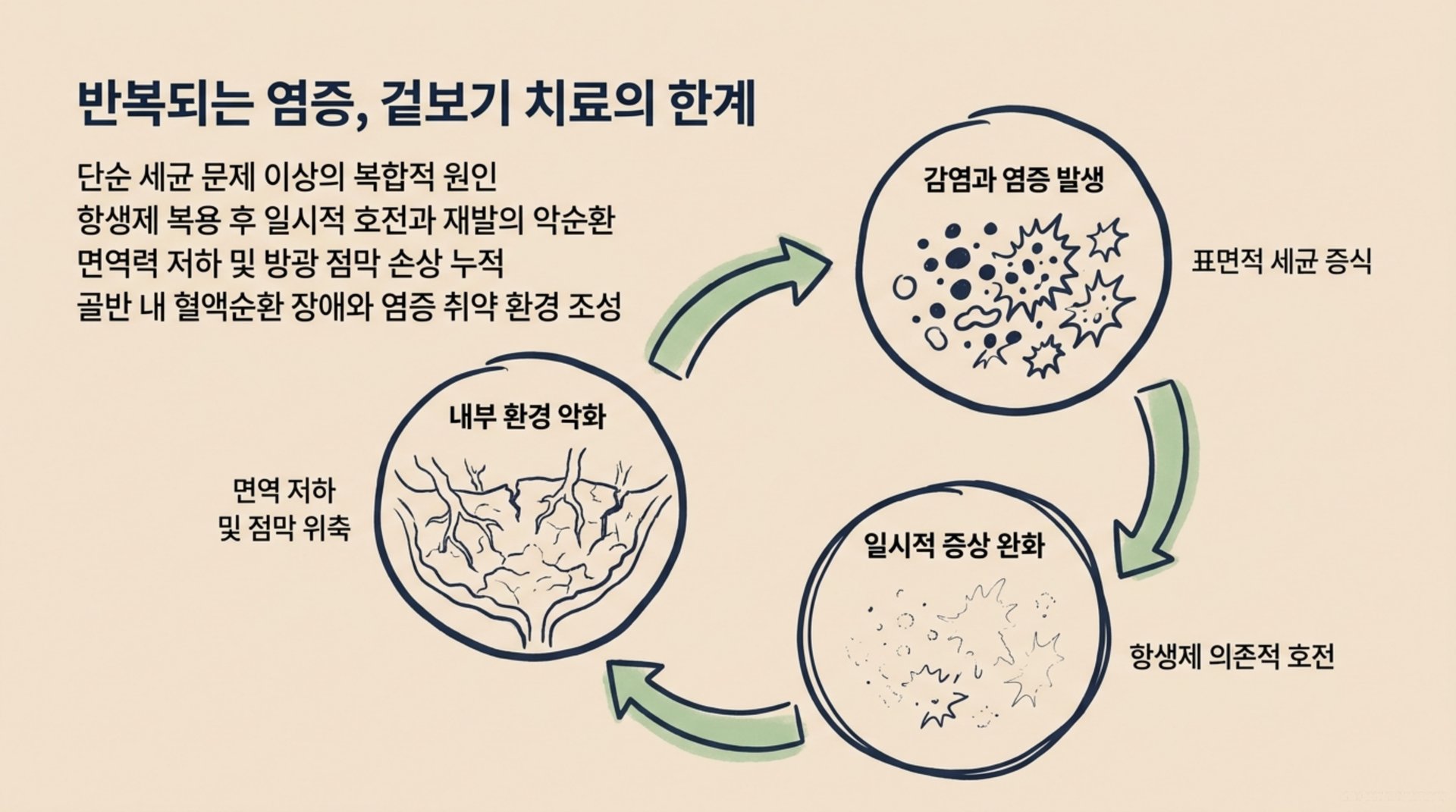 북가좌동 한의원 반복되는 염증, 겉보기 치료의 한계 안내 이미지