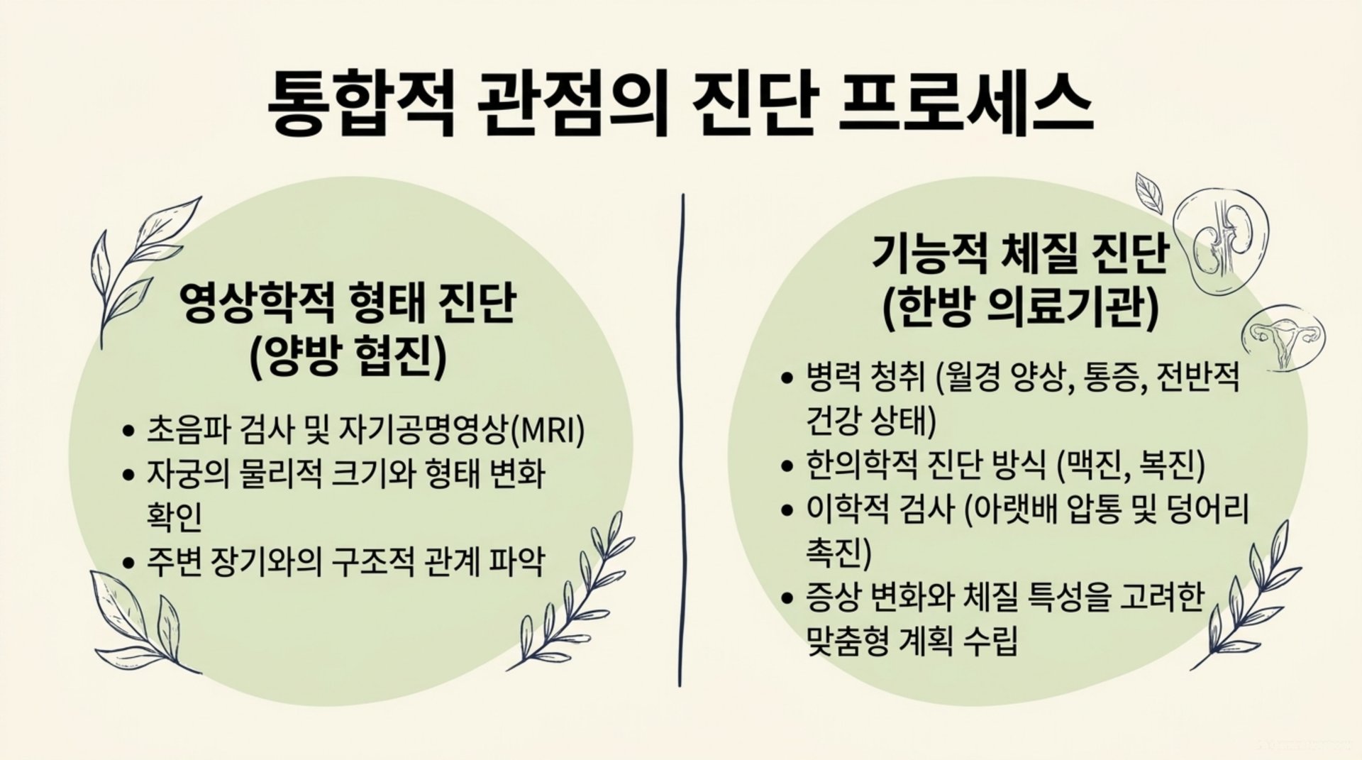 서대문구 한의원 통합적 관점의 진단 프로세스 안내 이미지