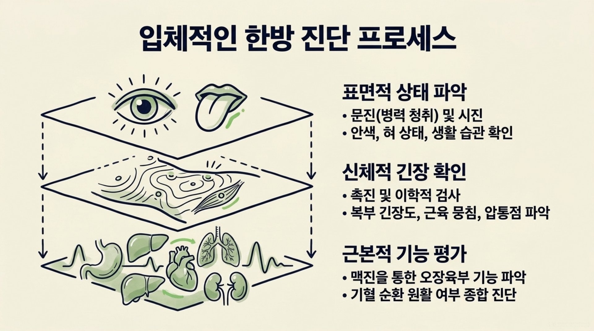 남가좌동 한의원 입체적인 한방 진단 프로세스 안내 이미지