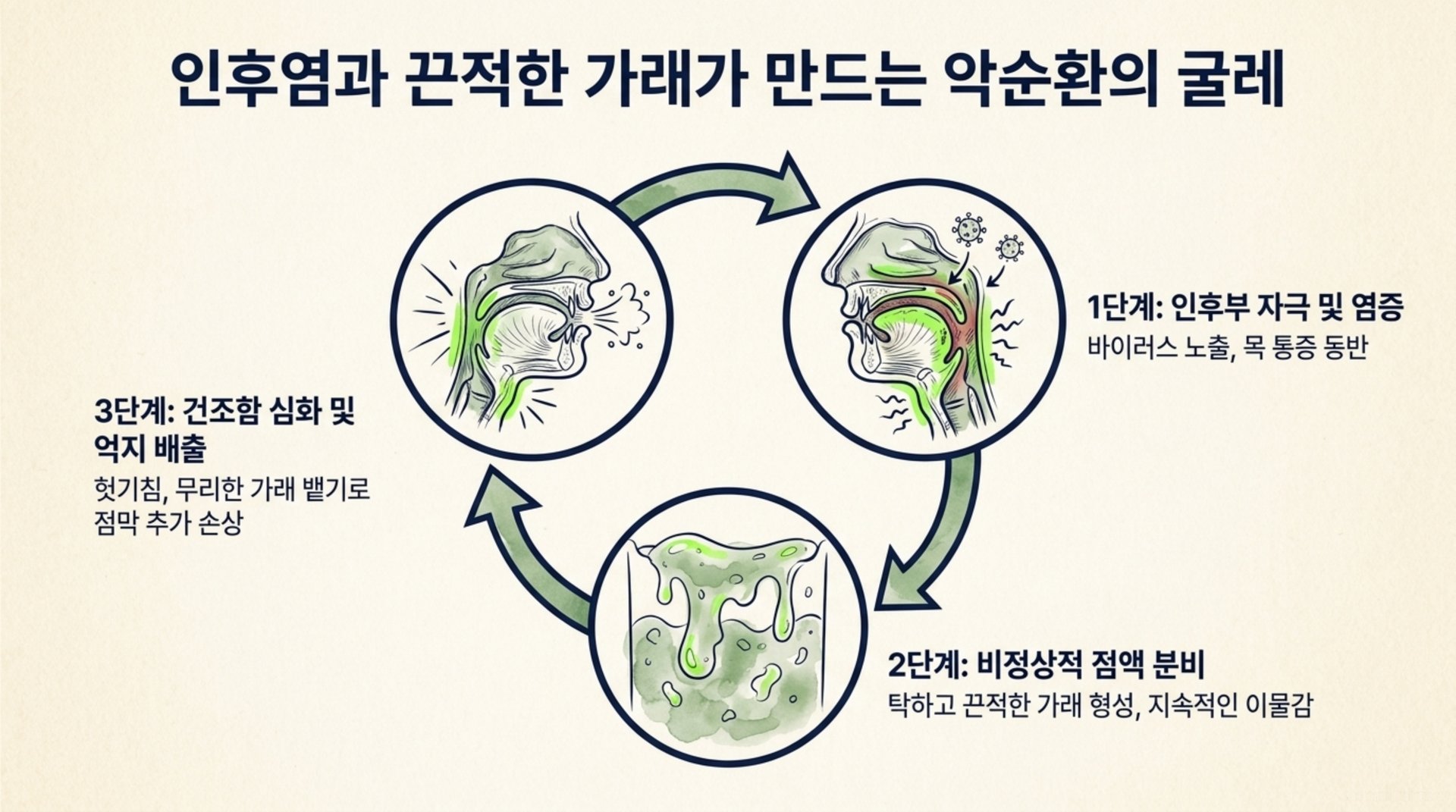 남가좌동 한의원 인후염과 끈적한 가래가 만드는 악순환의 굴레 안내 이미지