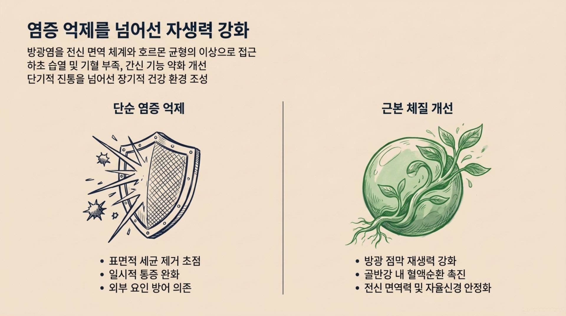 남가좌동 한의원 염증 억제를 넘어선 자생력 강화 안내 이미지