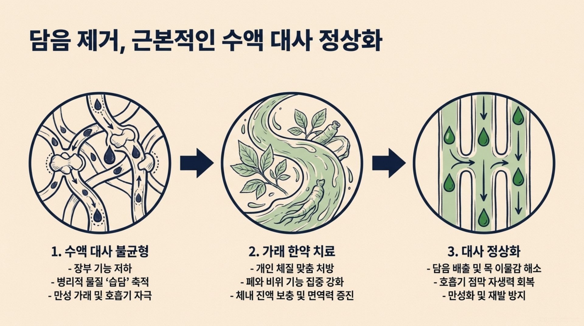 북가좌동 한의원 담음 제거, 근본적인 수액 대사 정상화 안내 이미지