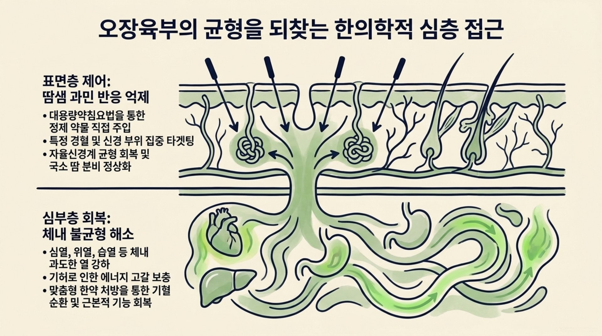 북가좌동 한의원 오장육부의 균형을 되찾는 한의학적 심층 접근 안내 이미지