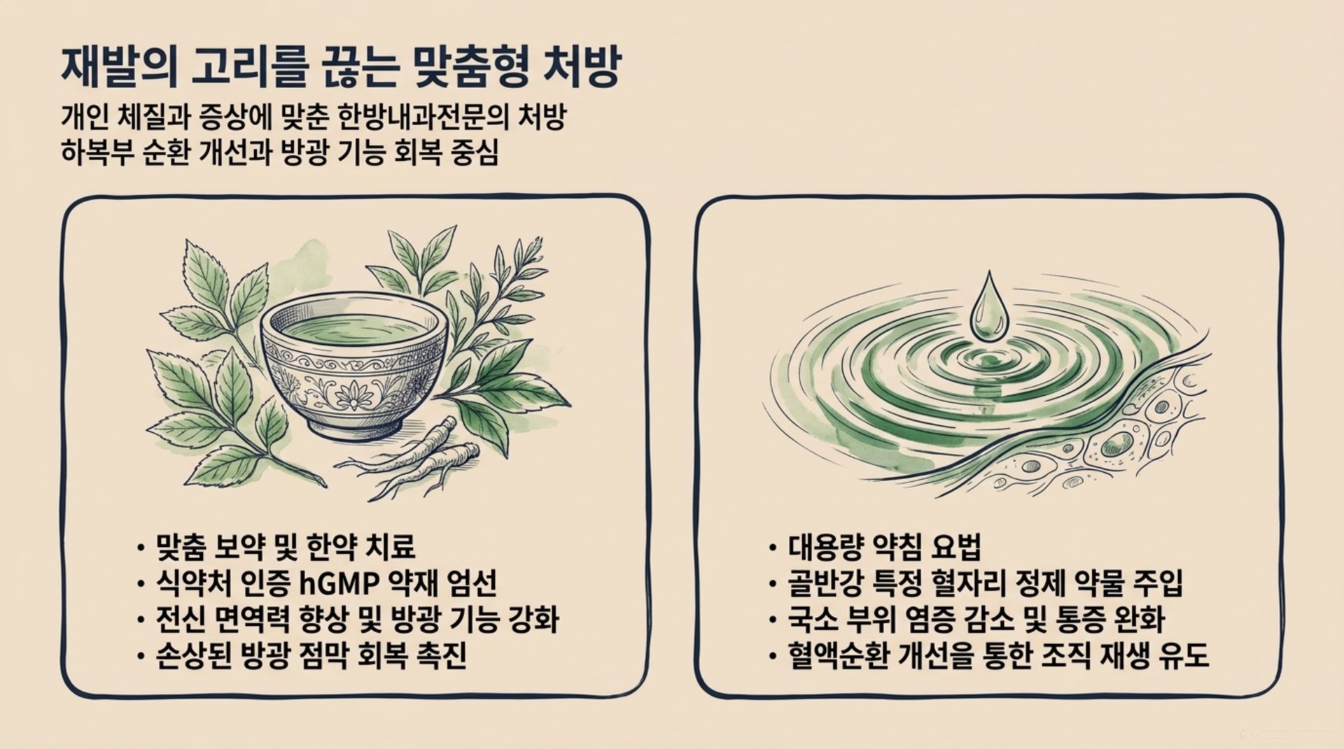 북가좌동 한의원 재발의 고리를 끊는 맞춤형 처방 안내 이미지