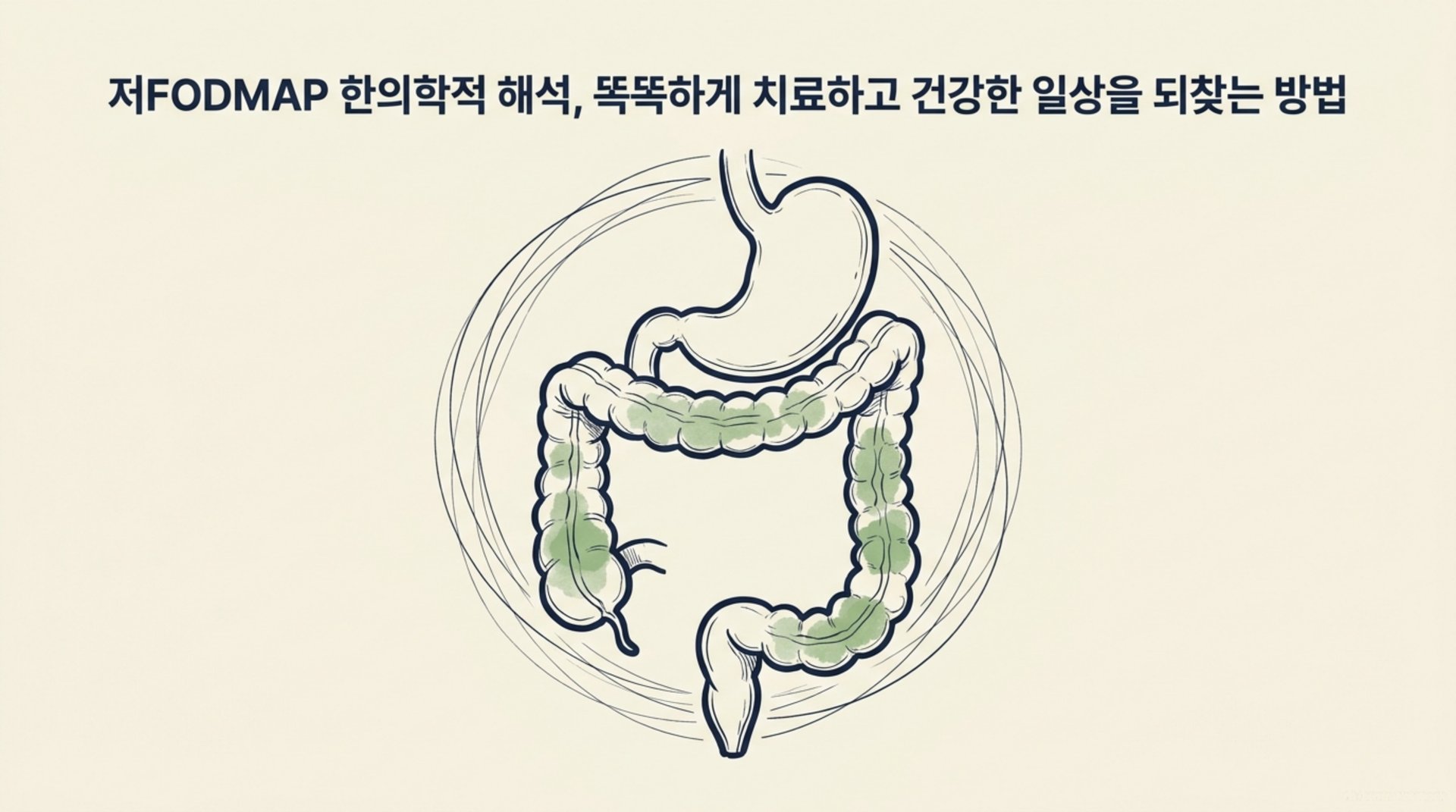 남가좌동 한의원 저FODMAP 한의학적 해석, 똑똑하게 치료하고 건강한 일상을 되찾는 방법 안내 이미지