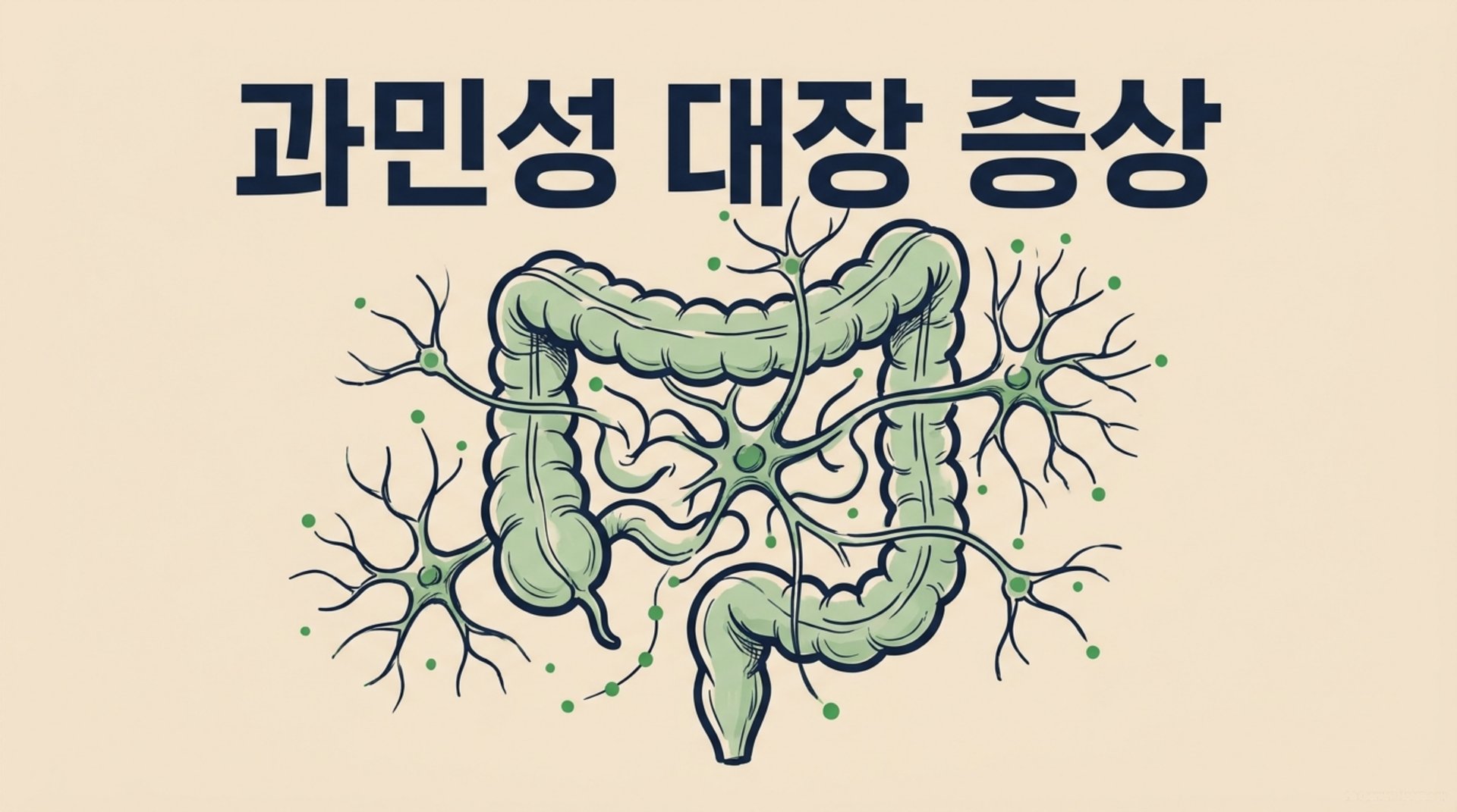 남가좌동 한의원 과민성 대장 증상 안내 이미지