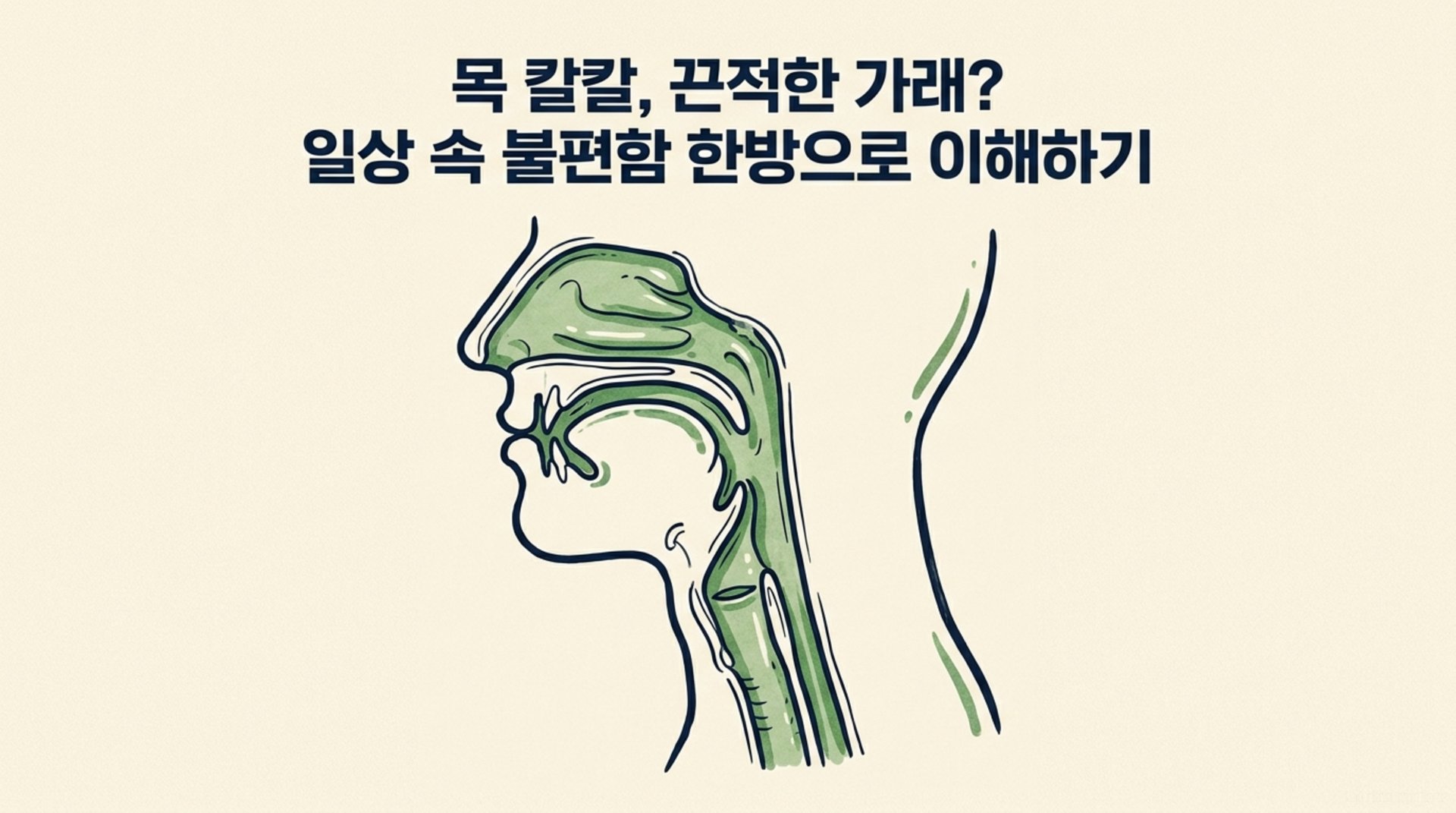 남가좌동 한의원 목 칼칼, 끈적한 가래? 일상 속 불편함 한방으로 이해하기 안내 이미지