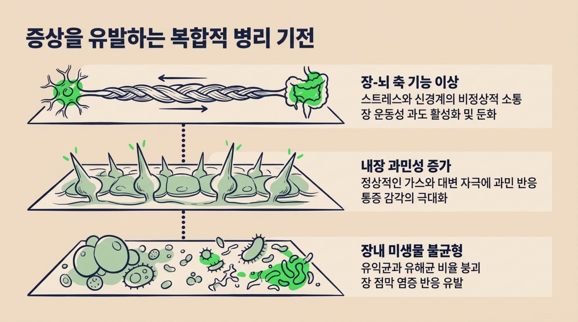 서대문구 한의원 증상을 유발하는 복합적 병리 기전 안내 이미지