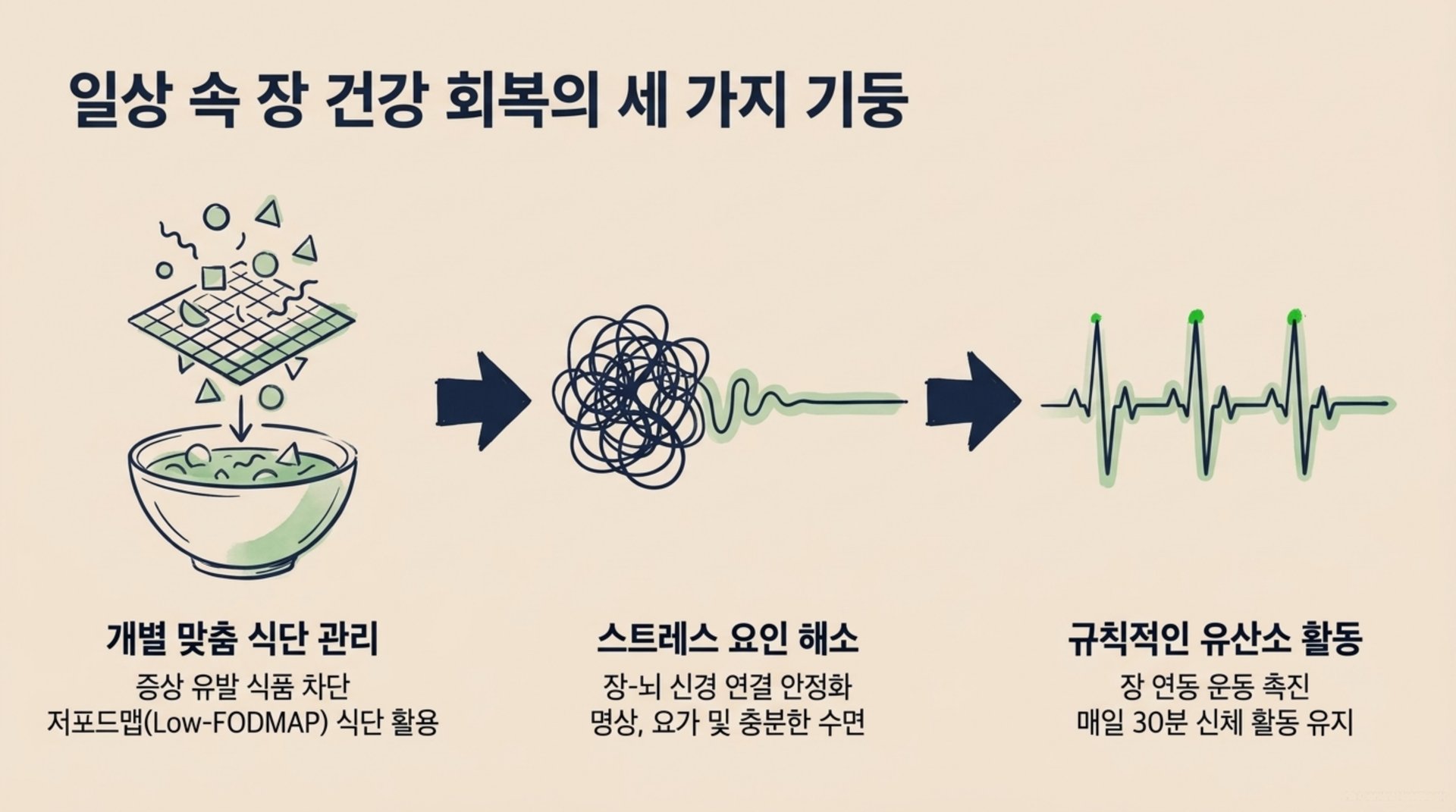 남가좌동 한의원 일상 속 장 건강 회복의 세 가지 기둥 안내 이미지