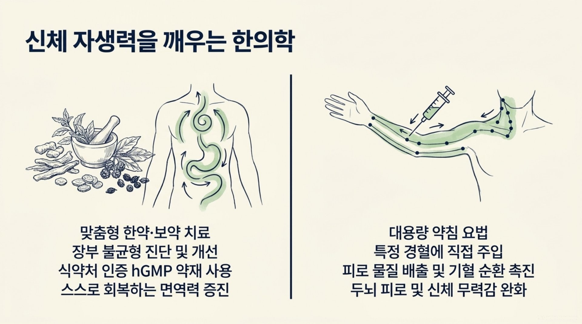 북가좌동 한의원 신체 자생력을 깨우는 한의학 안내 이미지