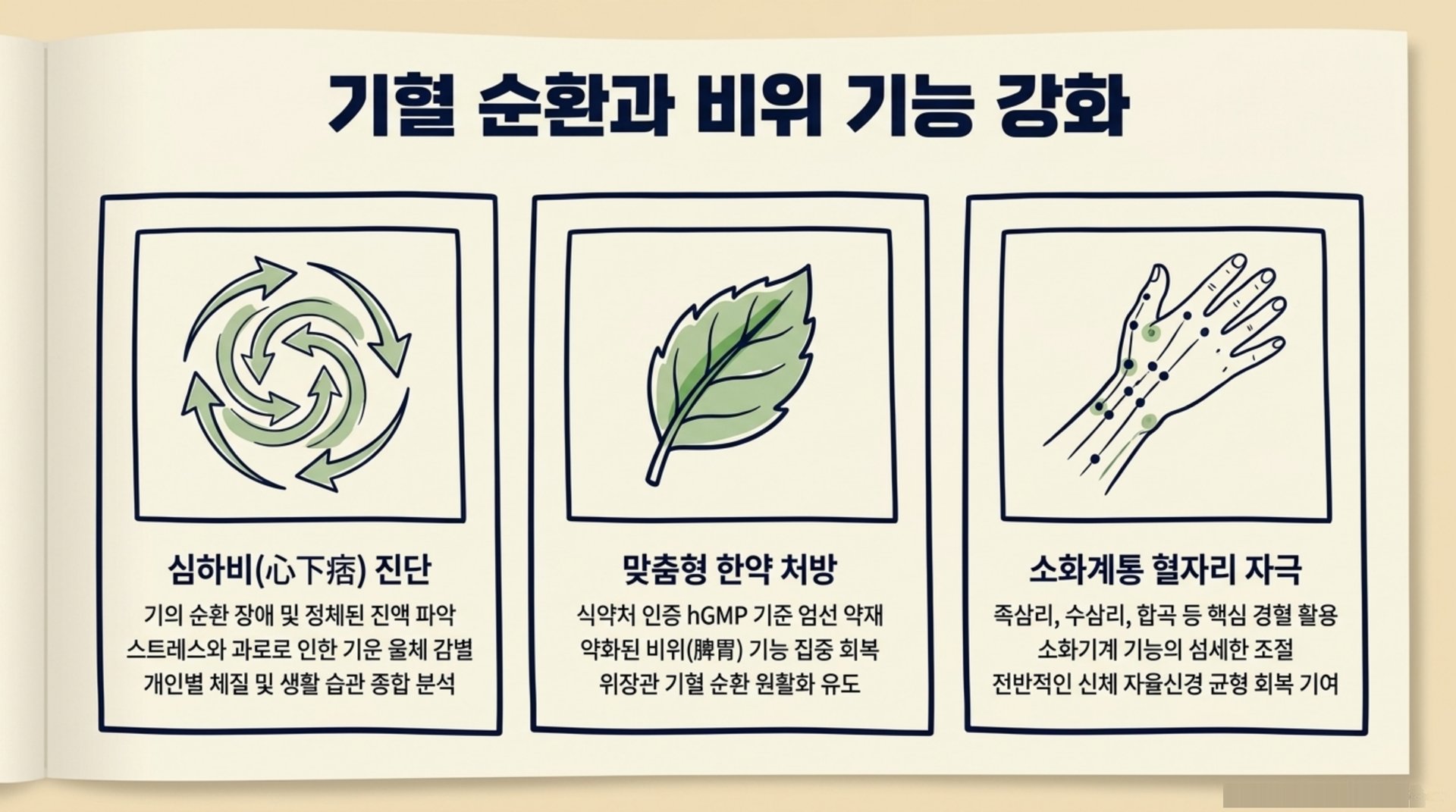 북가좌동 한의원 기혈 순환과 비위 기능 강화 안내 이미지