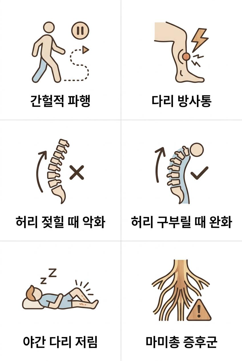 척추관협착증의 다양한 신경 압박 증상, 남가좌동척추협착증한의원 | 간헐적 파행 · 다리 방사통 · 허리 젖힐 때 악화 · 허리 구부릴 때 완화 · 야간 다리 저림 · 마미총 증후군