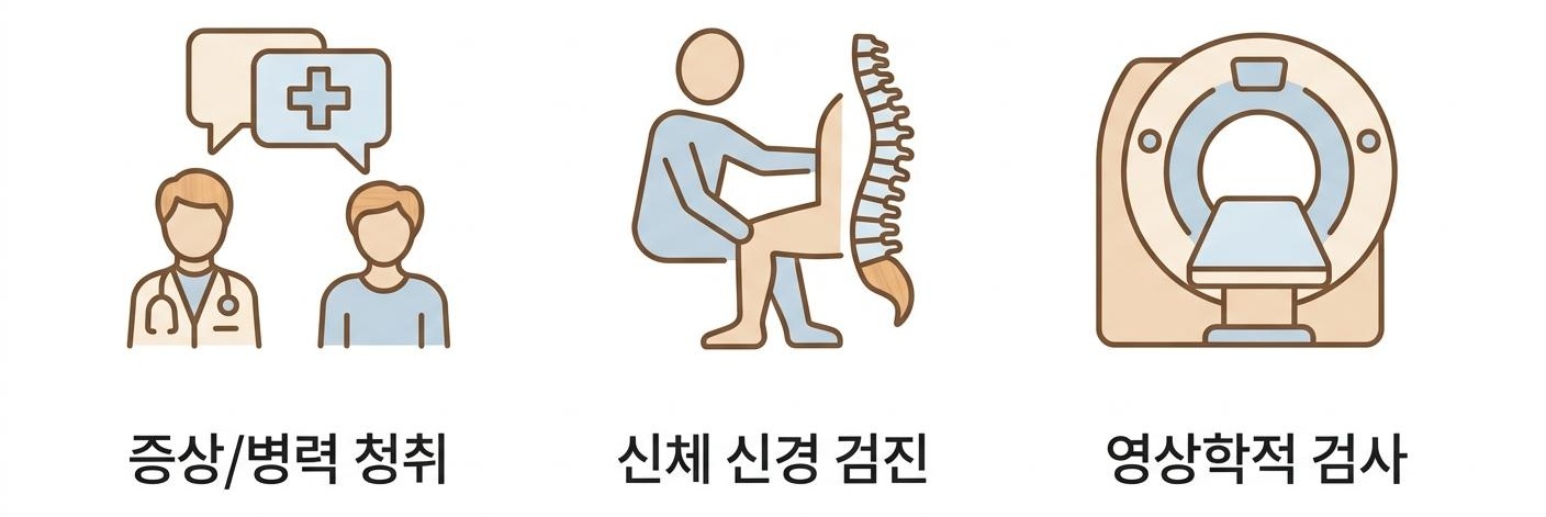 척추관협착증의 정확한 진단 과정, 서대문구허리협착증한의원 | 증상/병력 청취 · 신체 신경 검진 · 영상학적 검사