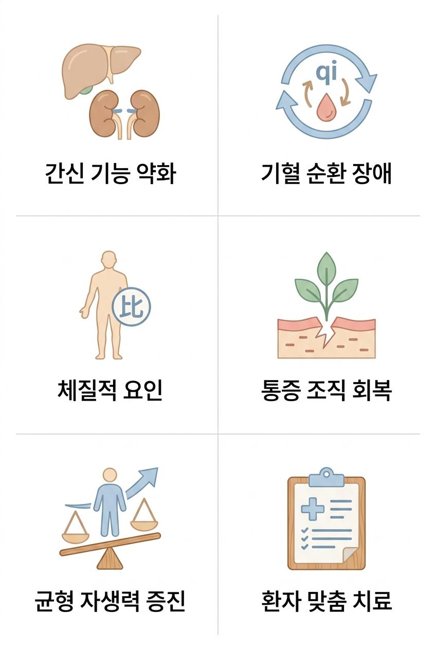 한의학적 관점의 허리디스크 원인과 치료 원리 및 목표, 서대문구한의학한의원 간신 기능 약화 · 기혈 순환 장애 · 체질적 요인 · 통증 조직 회복 · 균형 자생력 증진 · 환자 맞춤 치료