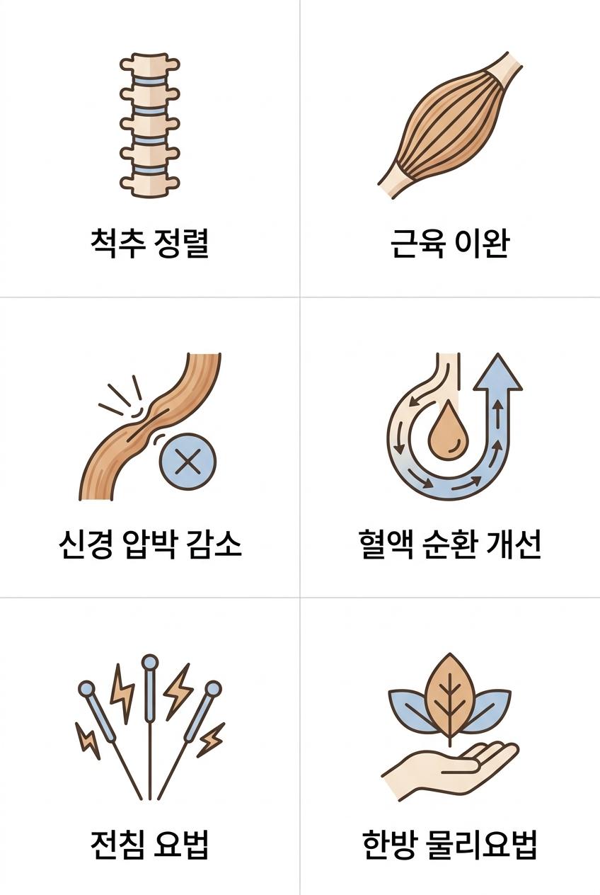 근이완추나요법의 비수술적 치료 원리, 서대문구신경성파행한의원 | 척추 정렬 · 근육 이완 · 신경 압박 감소 · 혈액 순환 개선 · 전침 요법 · 한방 물리요법