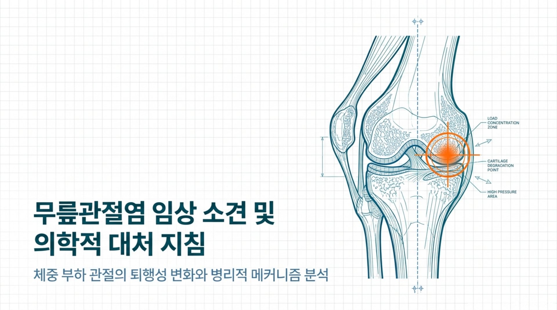 남가좌동 한의원 무릎관절염 임상 소견 및 의학적 대처 지침 안내 이미지