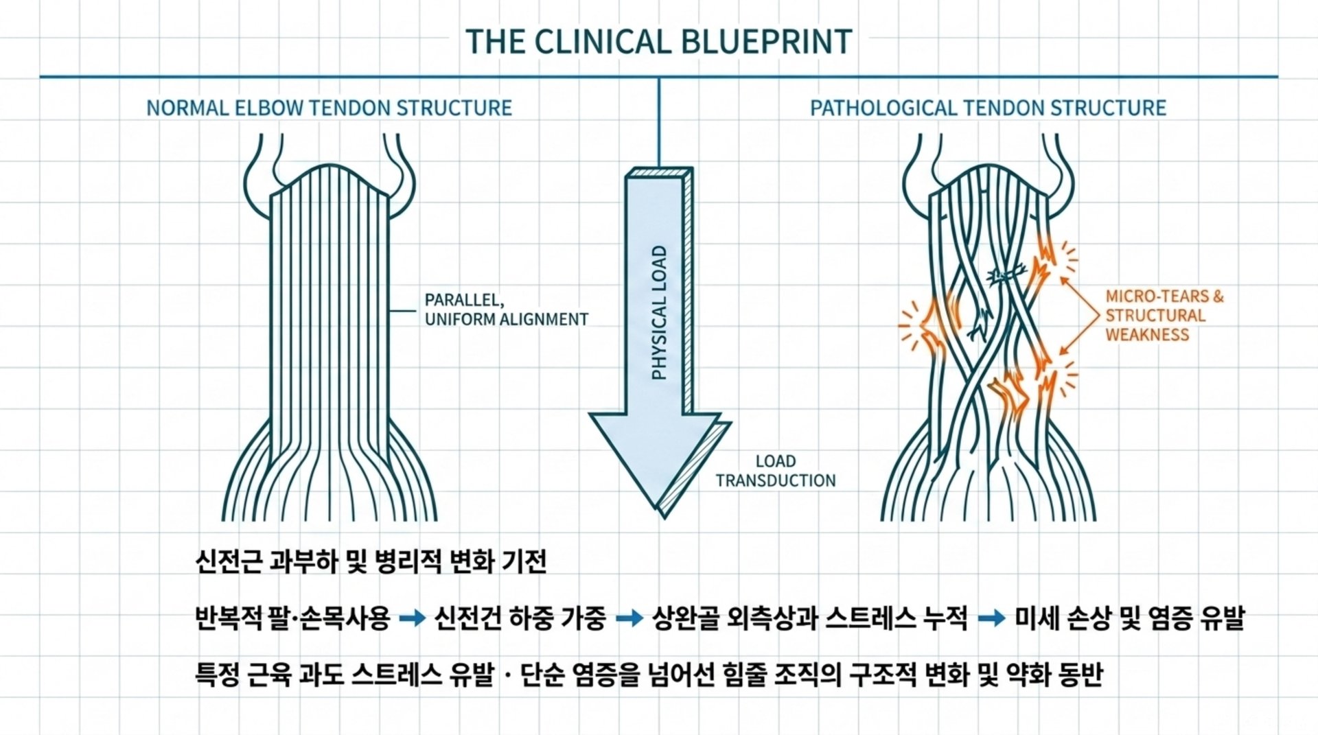 현대인과 해당 부위 건강