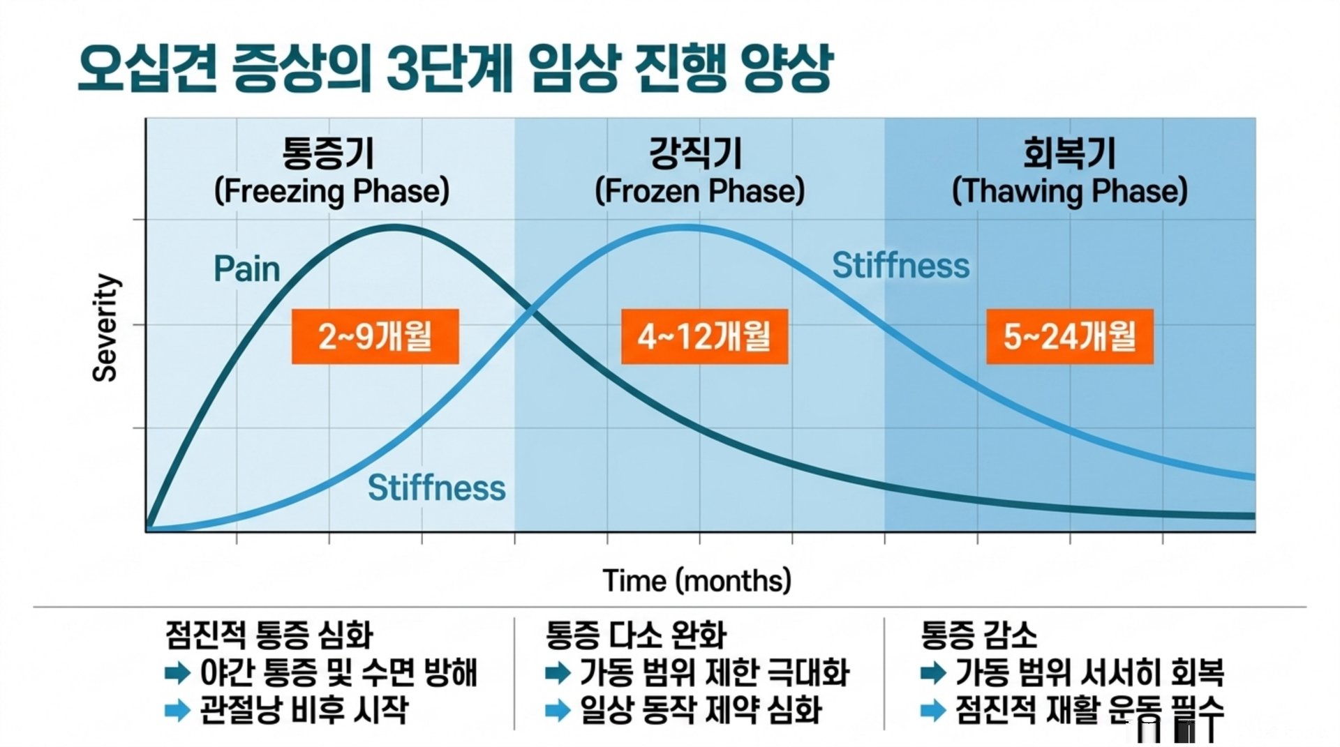 서대문구 한의원 오십견 증상의 3단계 임상 진행 양상 안내 이미지