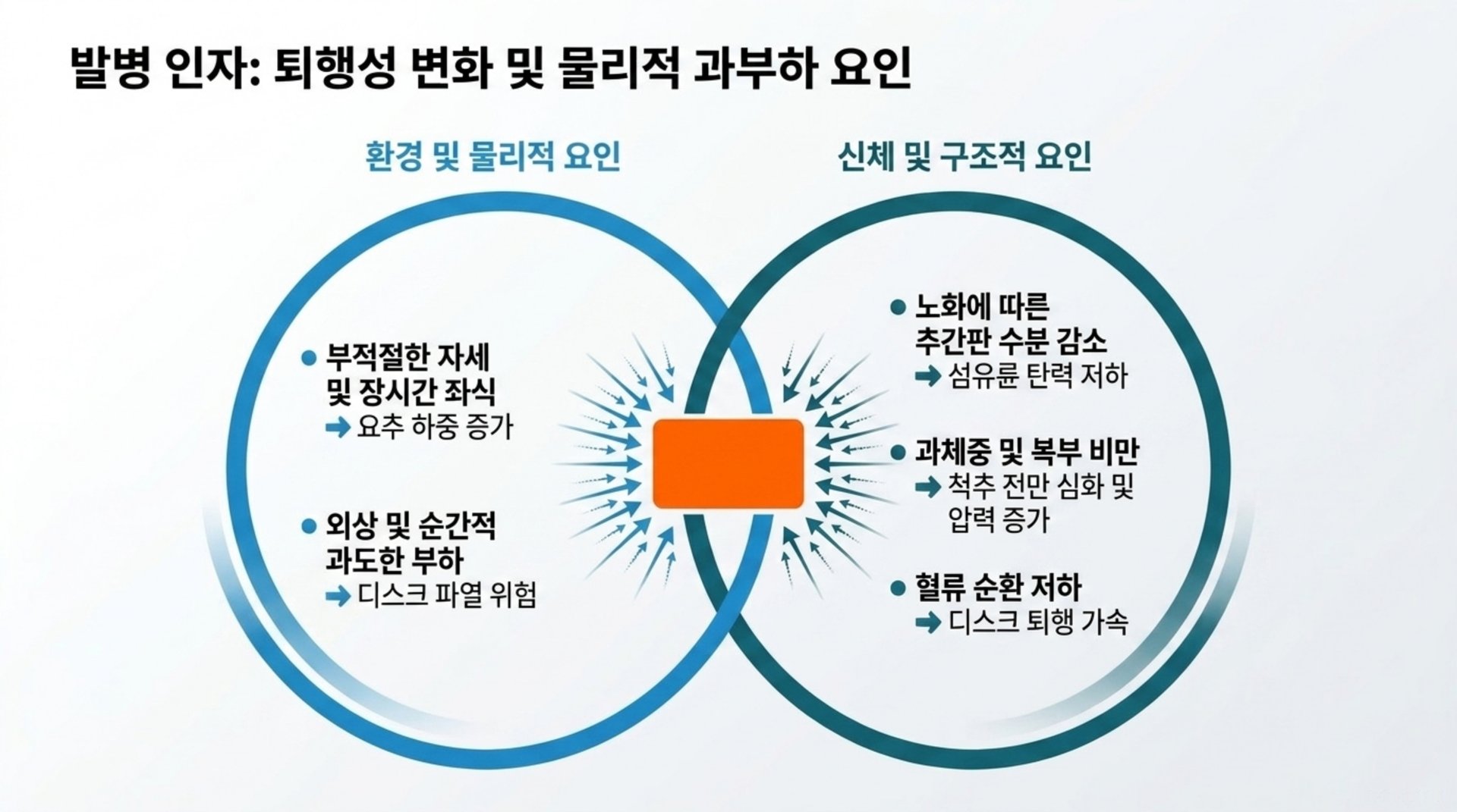 서대문구 한의원 발병 인자: 퇴행성 변화 및 물리적 과부하 요인 안내 이미지