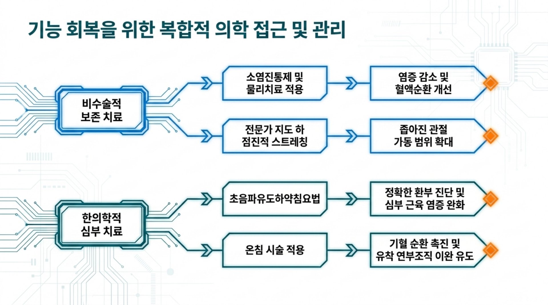 북가좌동 한의원 기능 회복을 위한 복합적 의학 접근 및 관리 안내 이미지