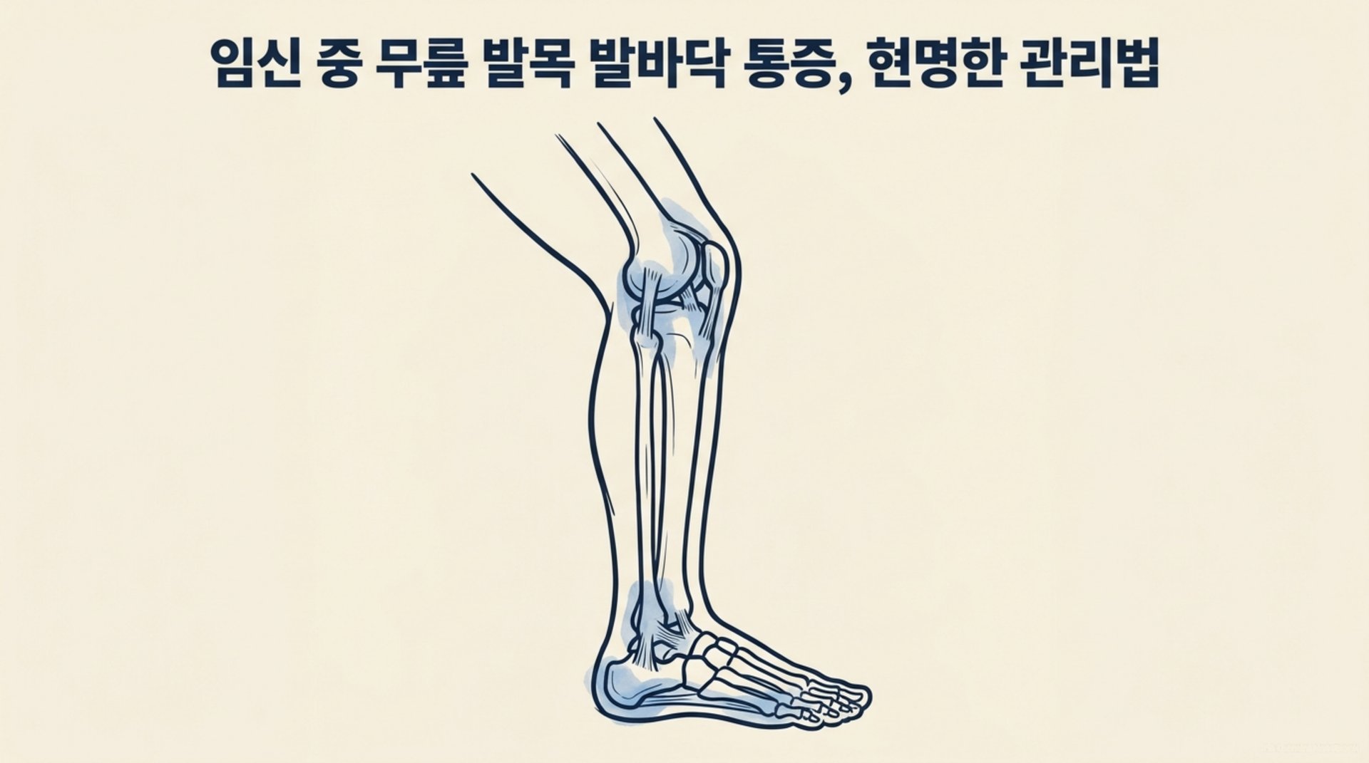 남가좌동 한의원 임신 중 무릎 발목 발바닥 통증, 현명한 관리법 안내 이미지