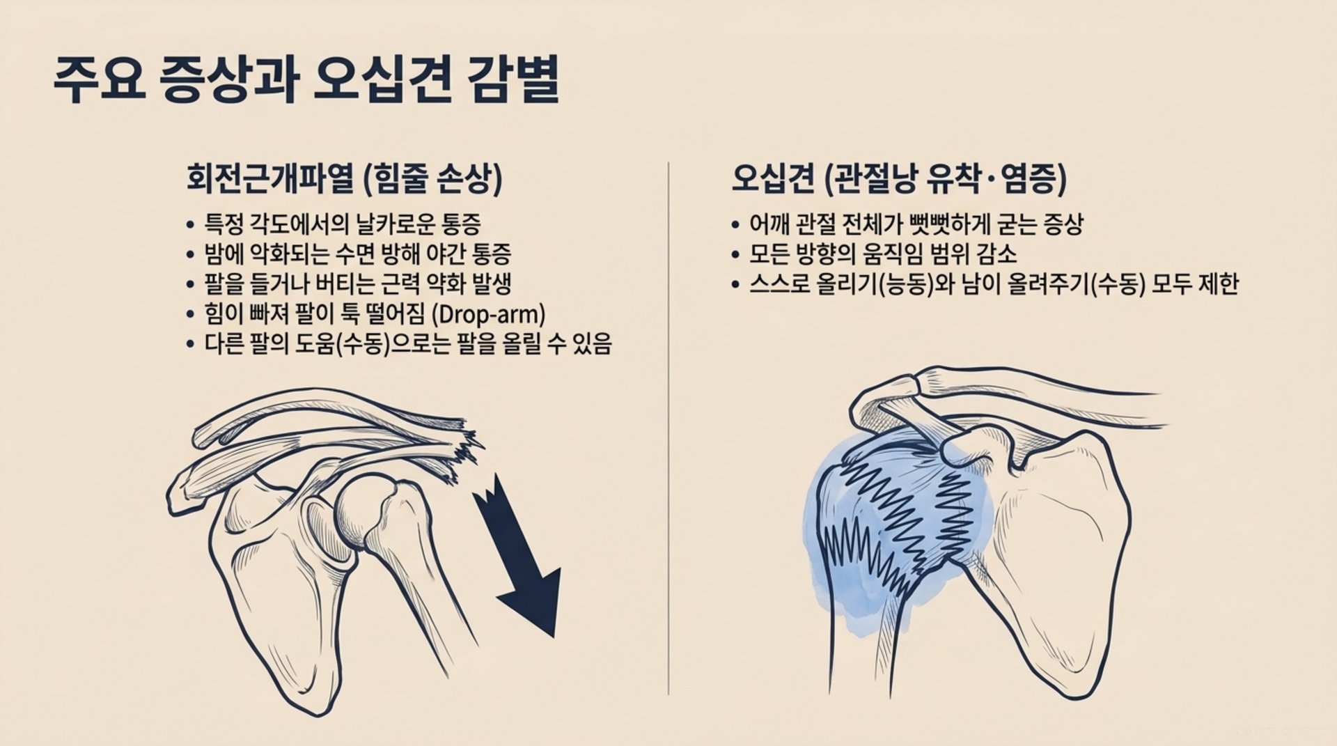 서대문구 한의원 주요 증상과 오진감별 안내 이미지