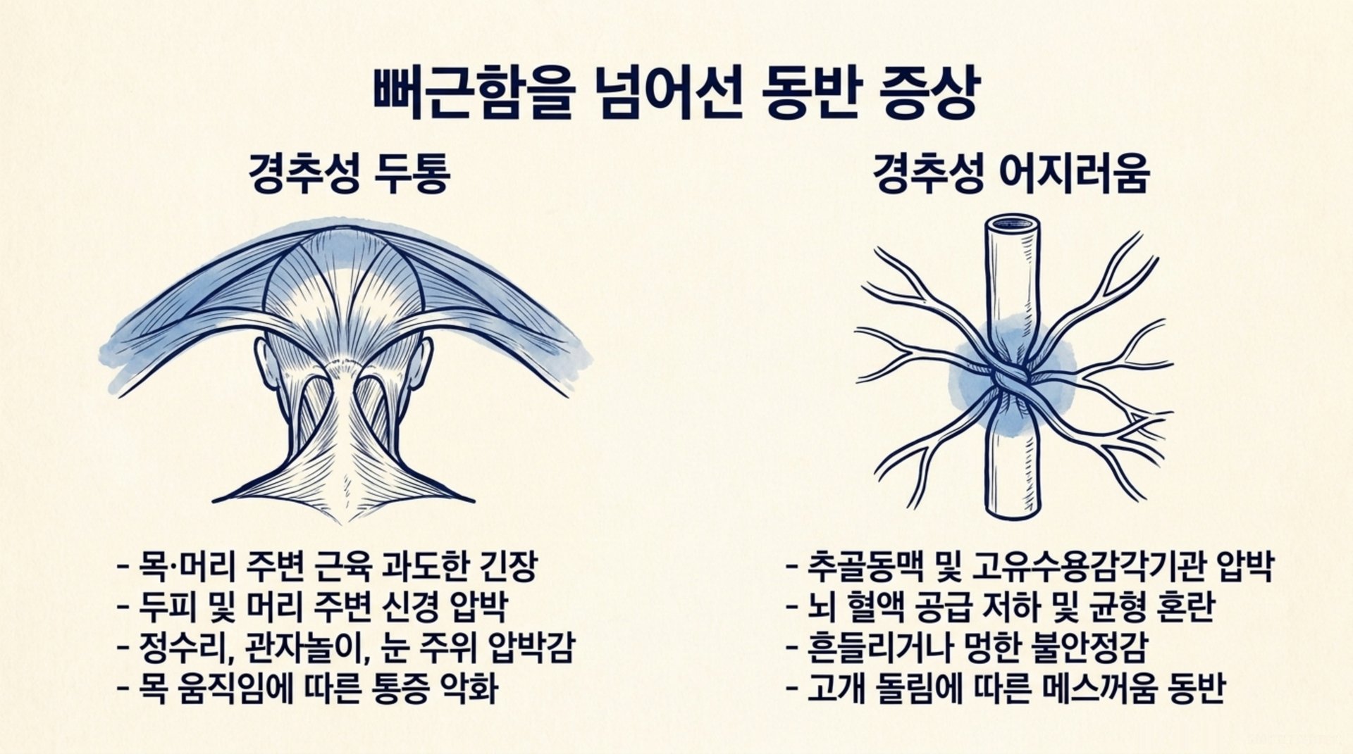서대문구 한의원 뻐근함을 넘어선 동반 증상 안내 이미지
