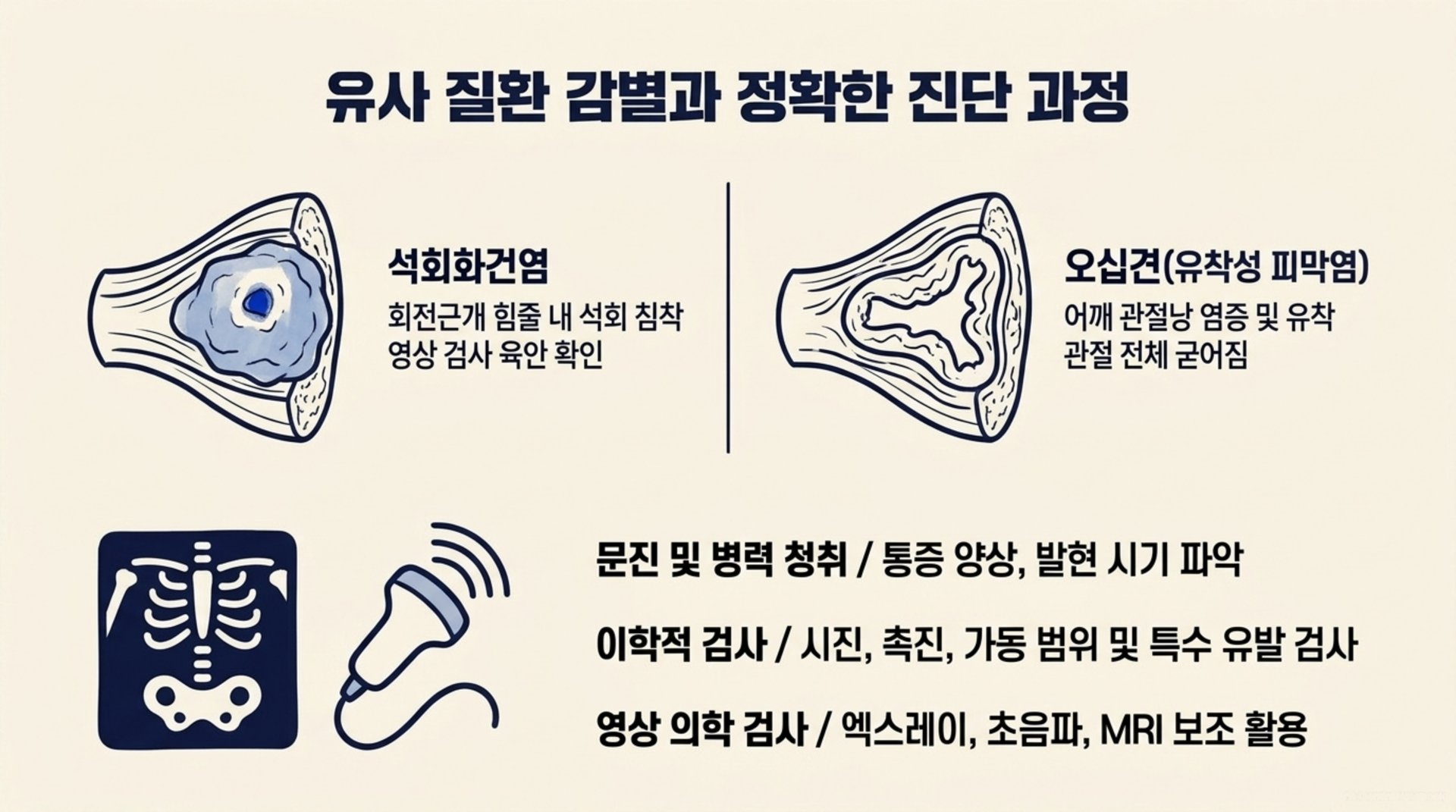 남가좌동 한의원 유사 질환 감별과 정확한 진단 과정 안내 이미지