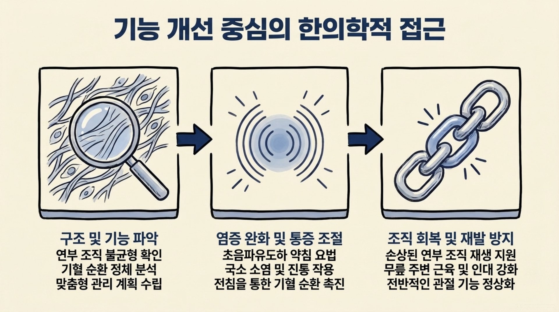 북가좌동 한의원 기능 개선 중심의 한의학적 접근 안내 이미지